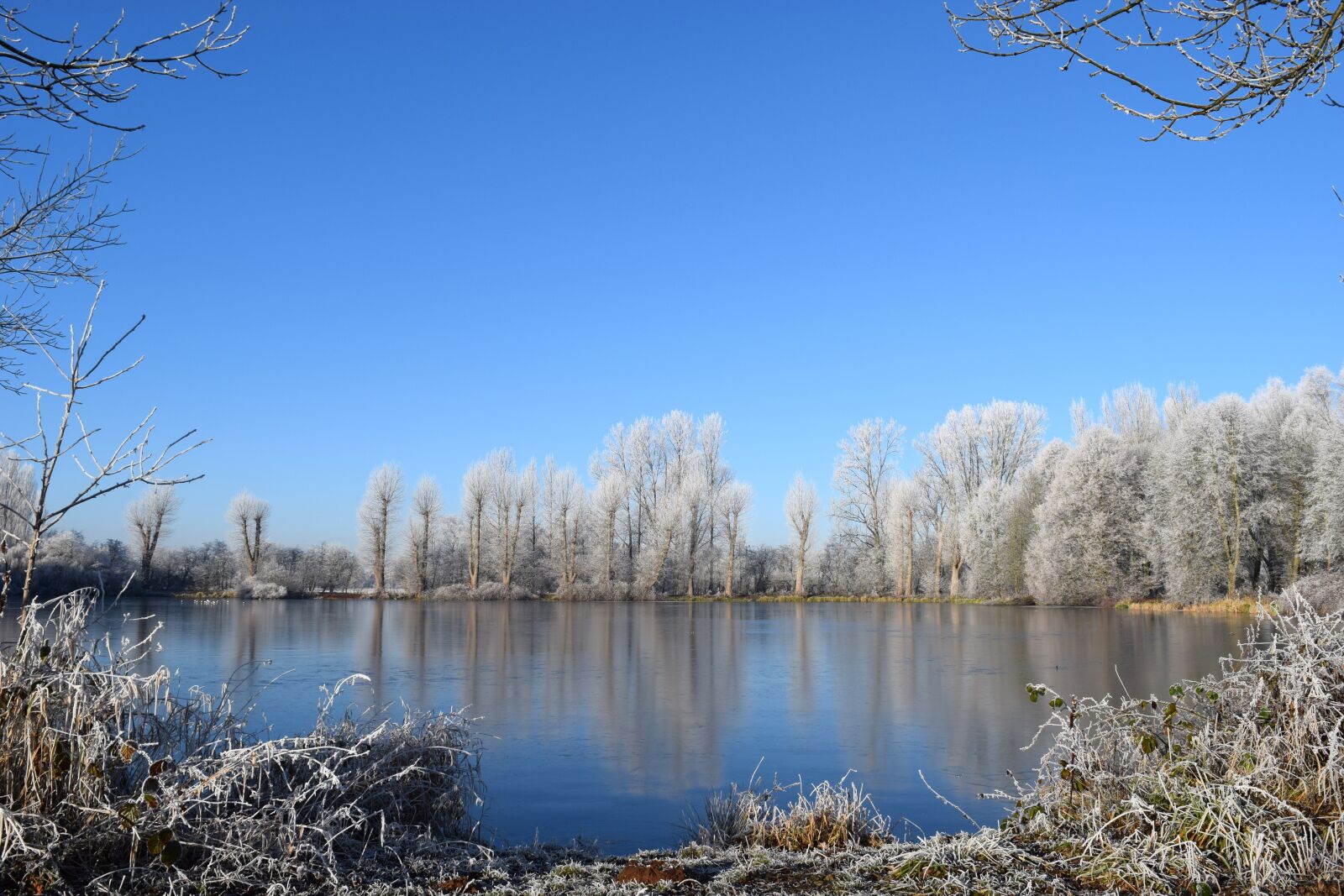 Nikon D3300 sample photo. Cold, winter, white photography