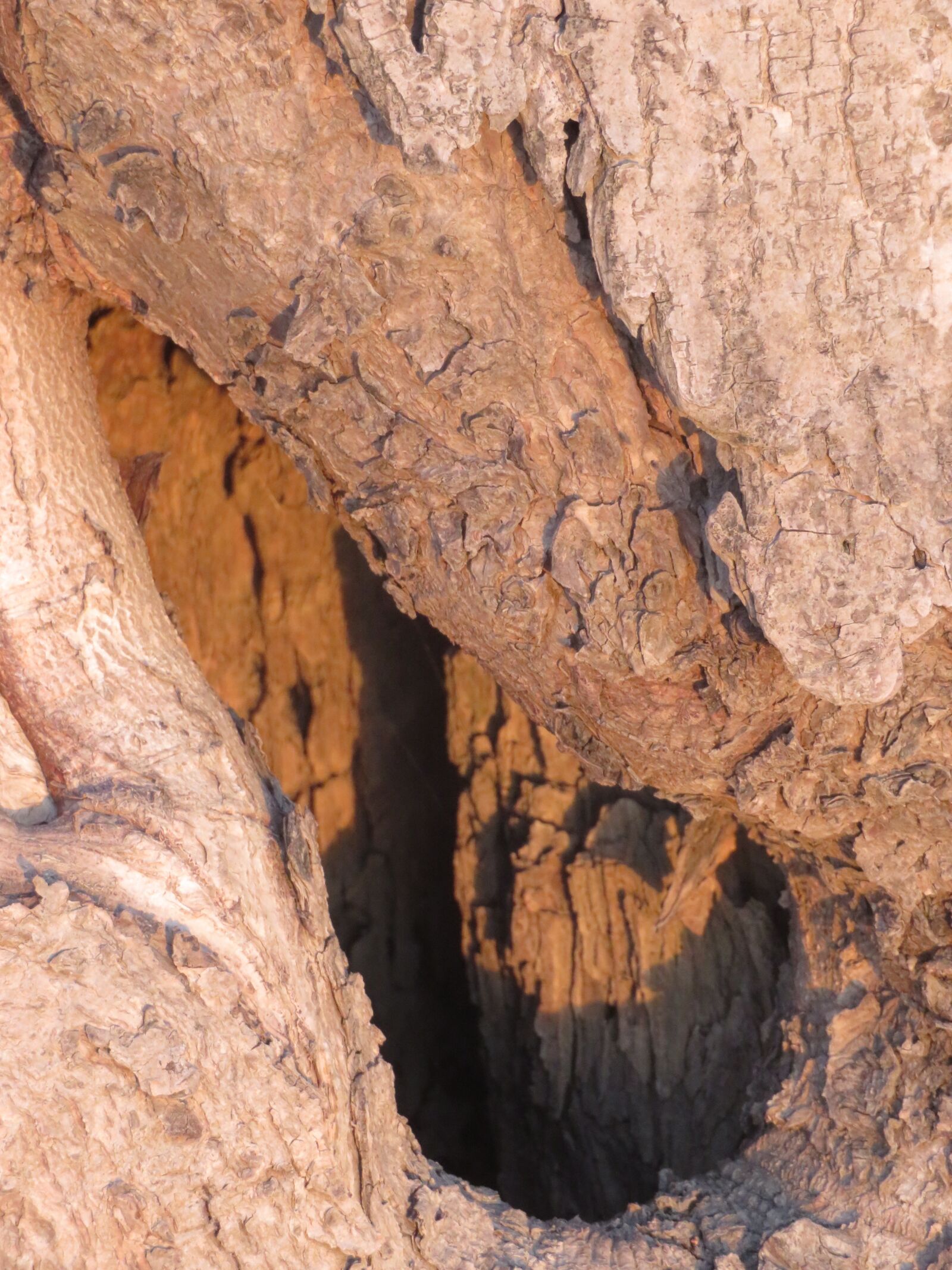 Canon PowerShot SX720 HS sample photo. Cavern, cave, nature photography