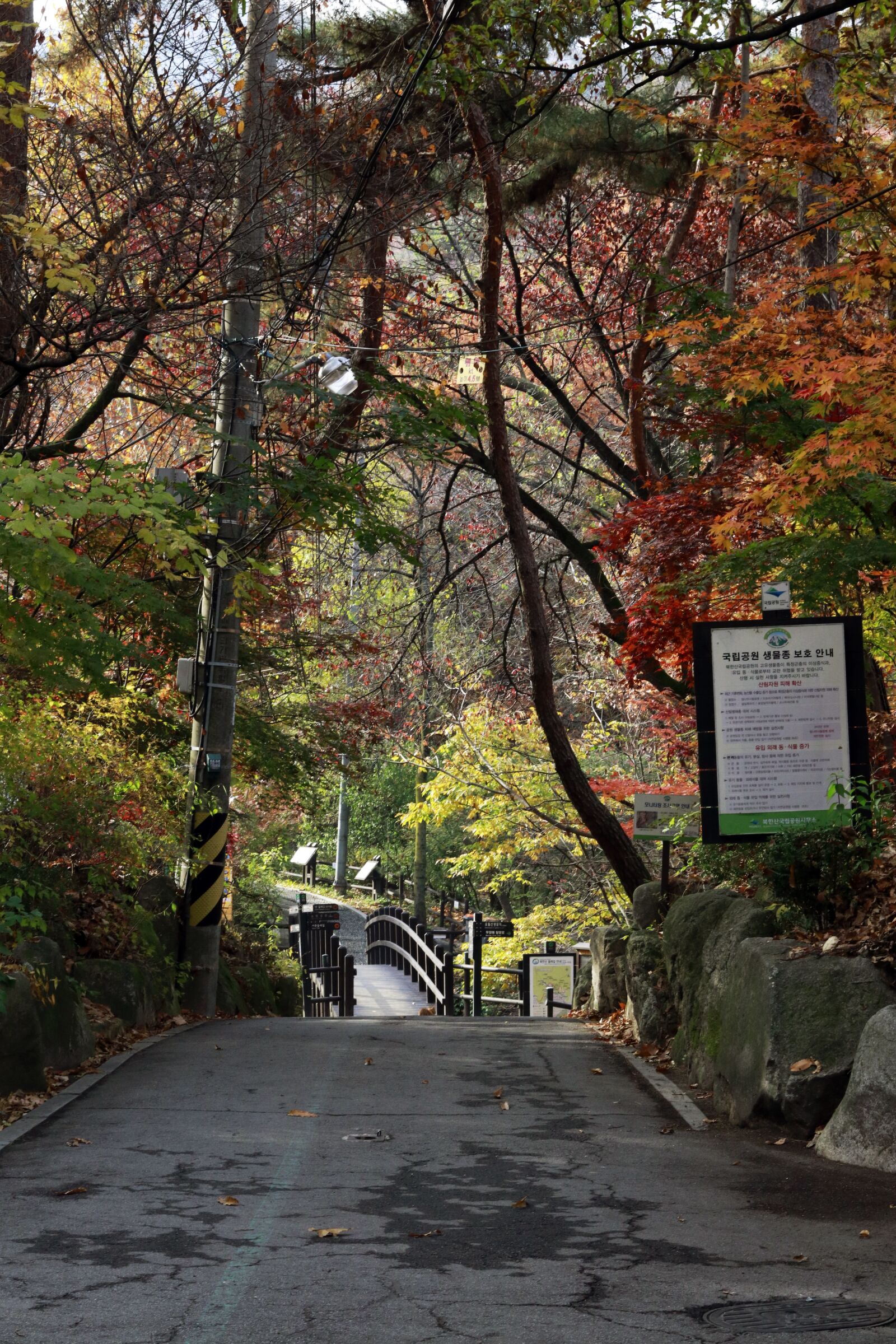 Canon EF 24-70mm F2.8L II USM sample photo. Autumn in seoul, autumn photography