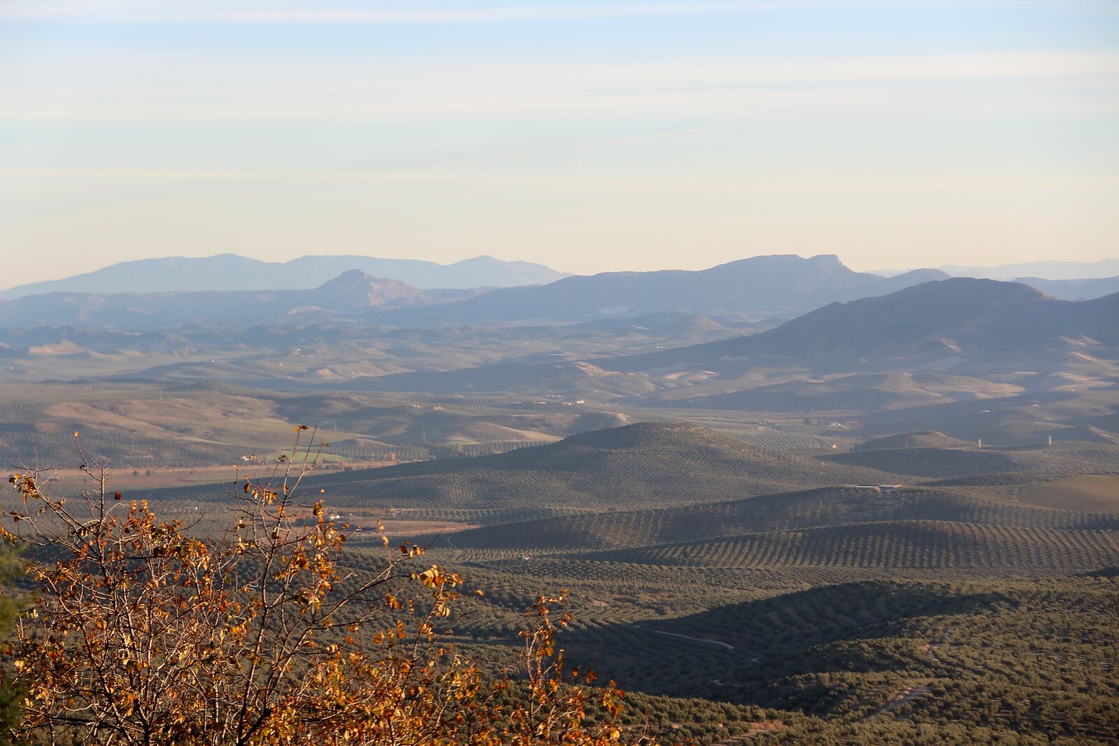 Canon EOS 650D (EOS Rebel T4i / EOS Kiss X6i) sample photo. Mountains, olive trees, sky photography