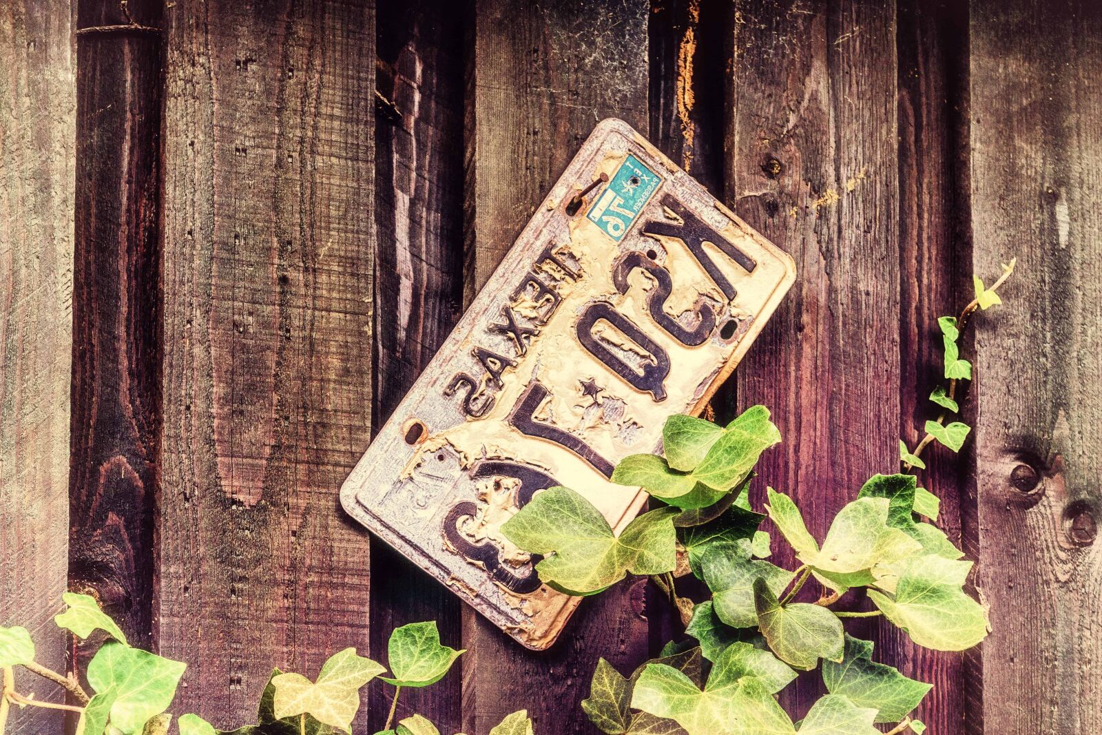Nikon D3300 sample photo. Registration plate, wood, old photography