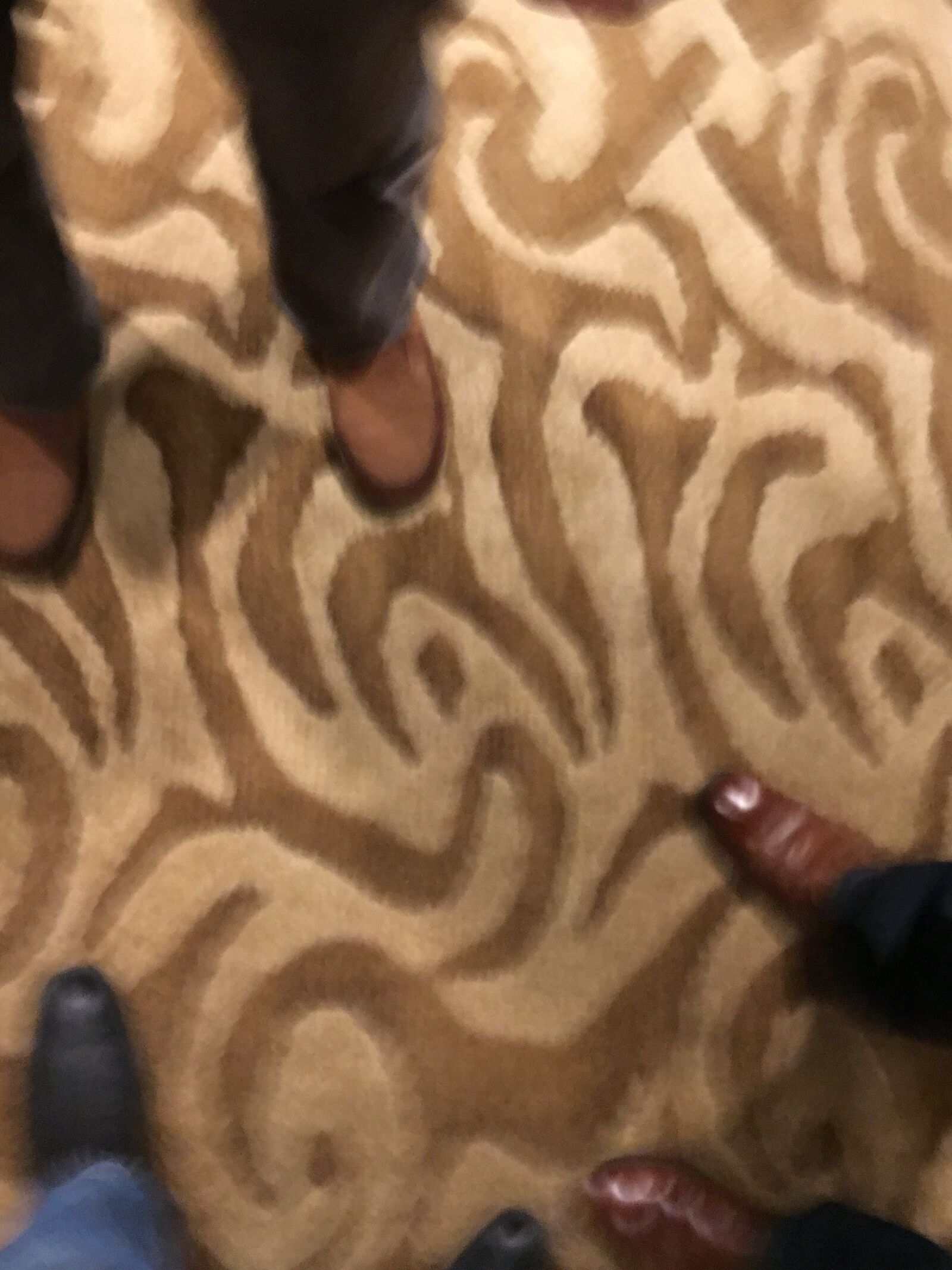 iPhone 6s back camera 4.15mm f/2.2 sample photo. Crazy carpet, rug, rug photography