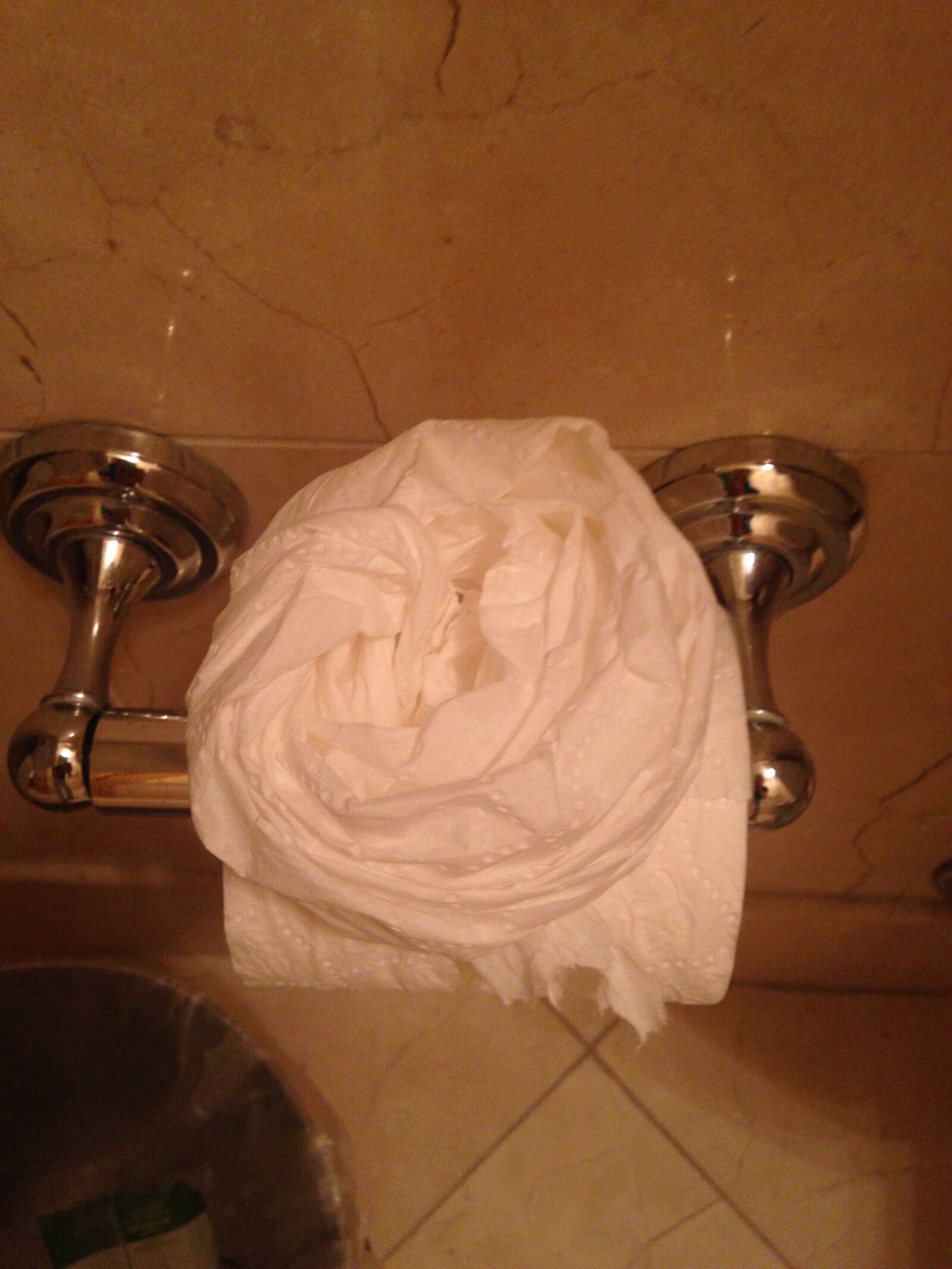 iPhone 5c back camera 4.12mm f/2.4 sample photo. Toilet, paper, rose photography