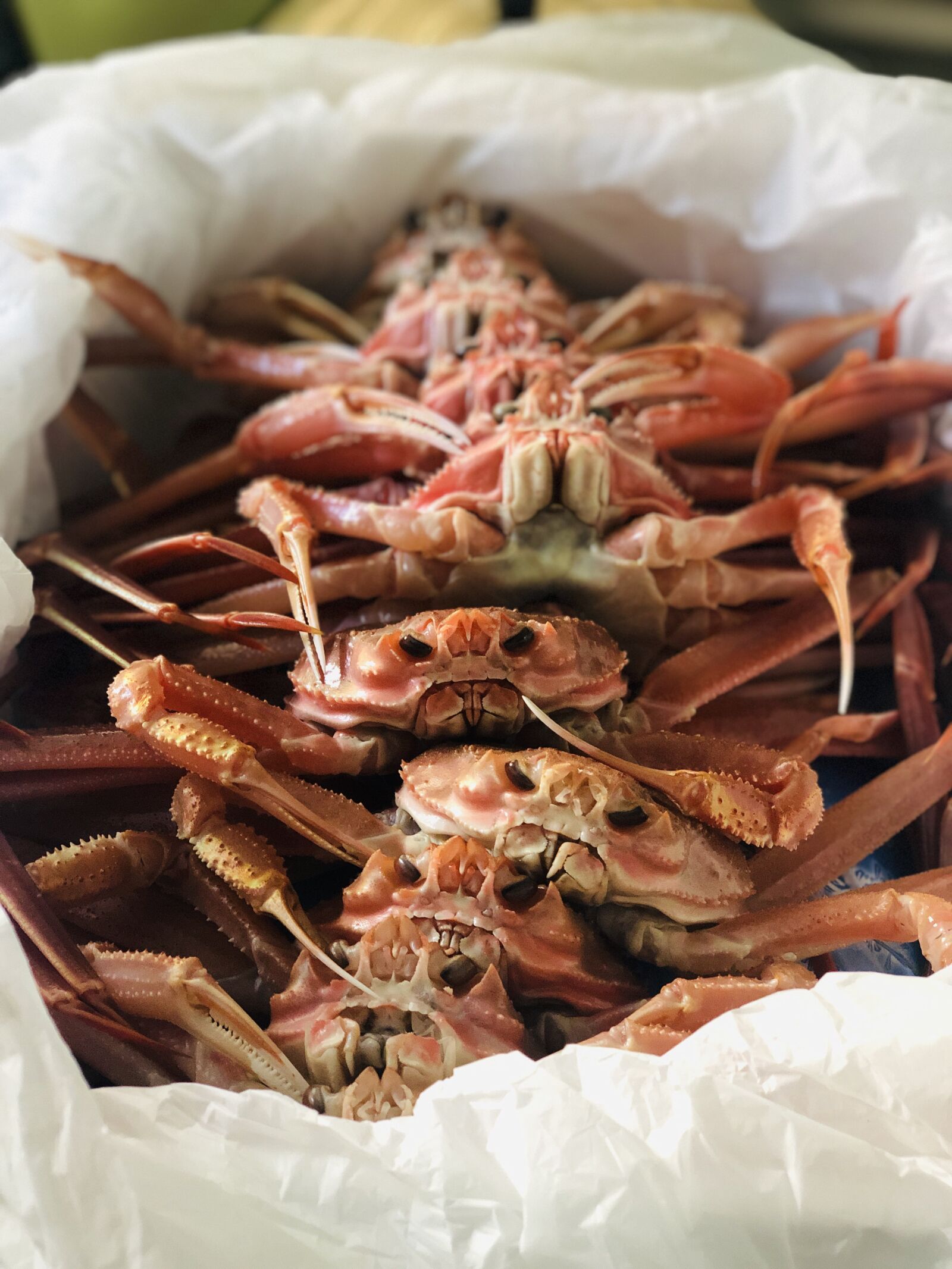 iPhone X back dual camera 6mm f/2.4 sample photo. Crab, hong to, snow photography