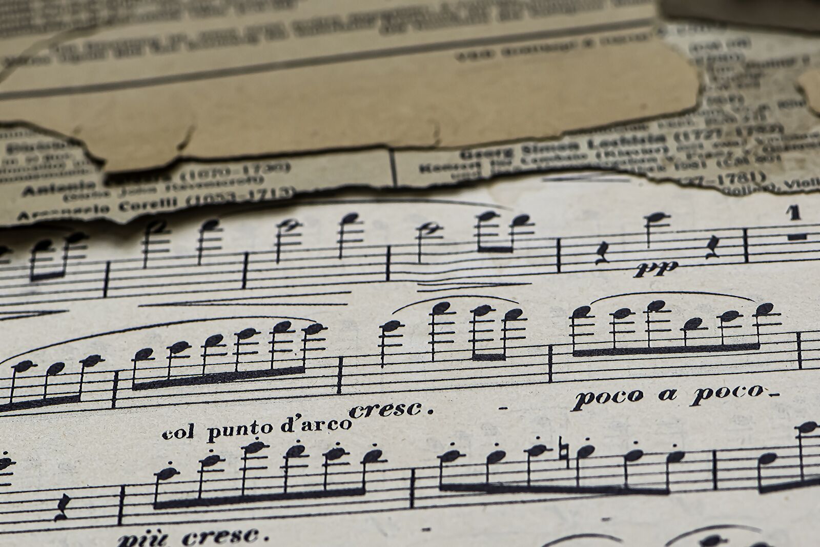 Nikon D5600 sample photo. Sheet music, 19th century photography