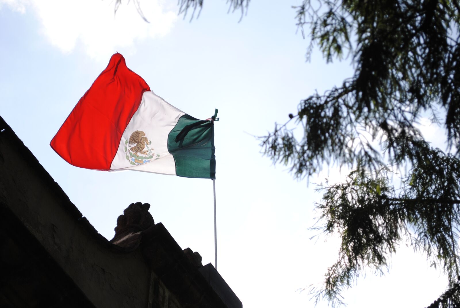 Nikon D3000 sample photo. Mexico, flag, mexican photography