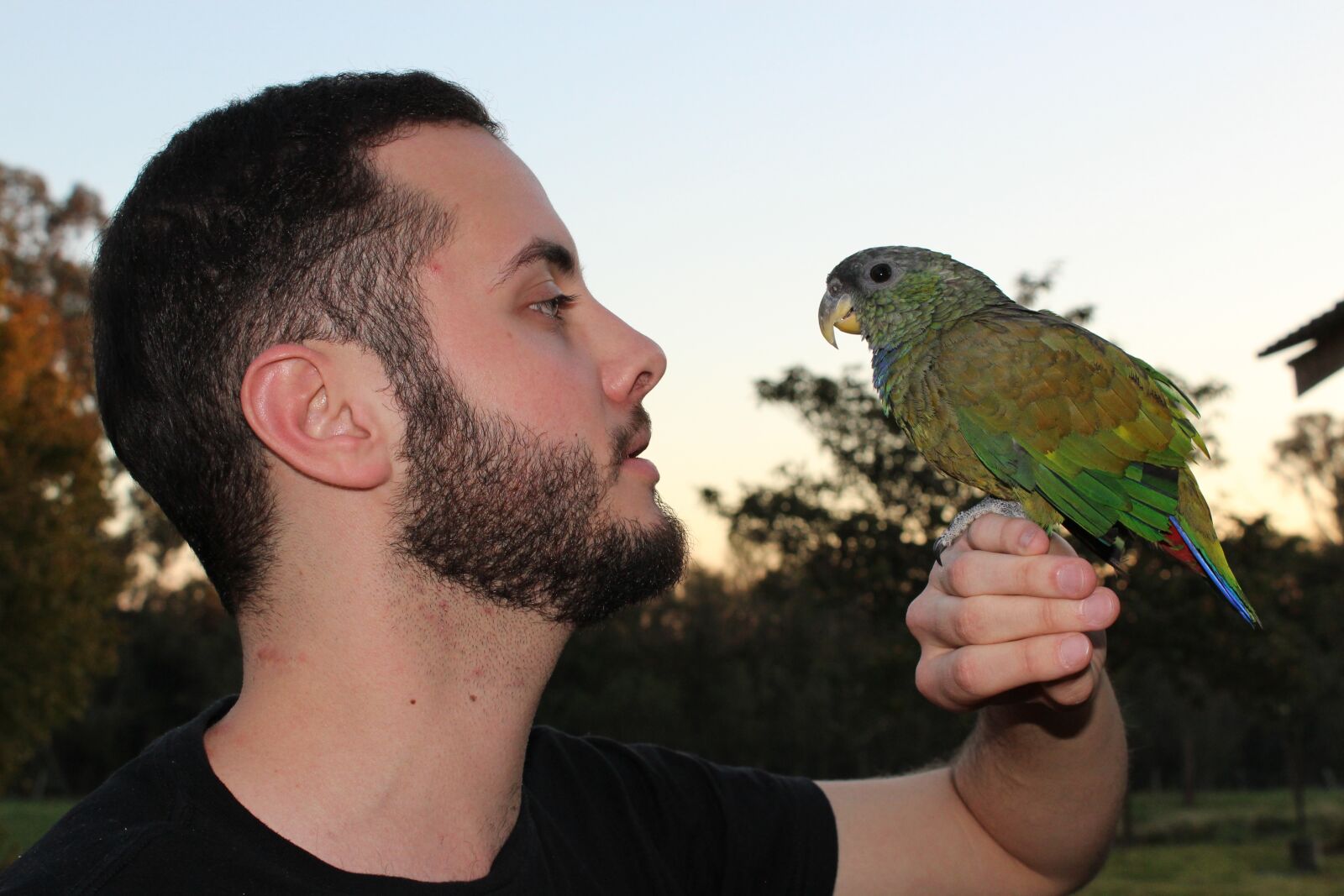 Canon EOS 1200D (EOS Rebel T5 / EOS Kiss X70 / EOS Hi) sample photo. Parrot, look, paige photography