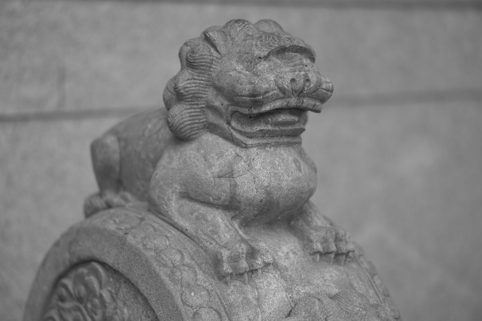 Sony a6500 + E 50mm F1.8 OSS sample photo. Lion, stone lion, chinese photography