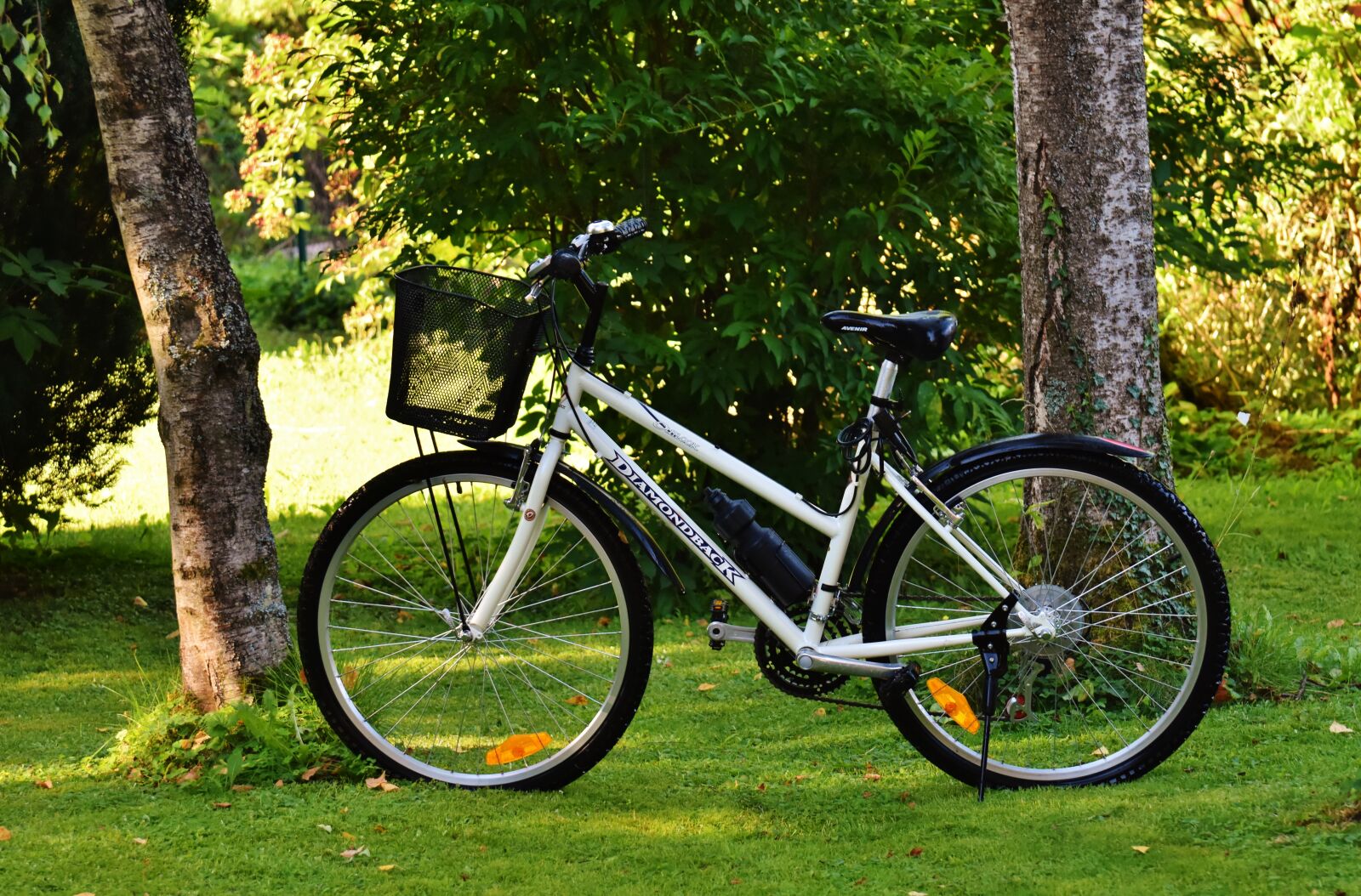 Nikon D7200 sample photo. Bike, cycle, wheel photography