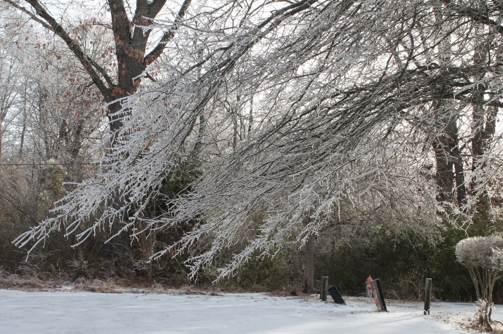 Canon EOS 1100D (EOS Rebel T3 / EOS Kiss X50) sample photo. Ice, winter, cold photography