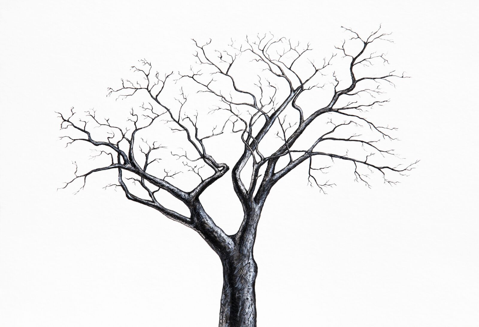 Canon EOS 5D Mark II sample photo. Tree, winter, one photography