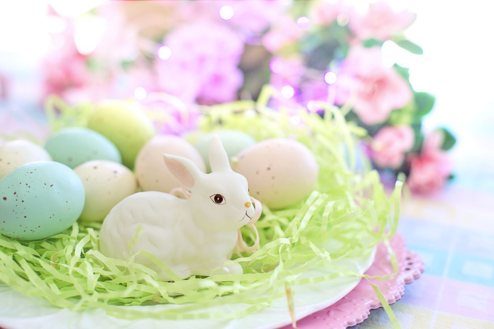 Canon EF 50mm F1.4 USM sample photo. Easter, eggs, bunny photography