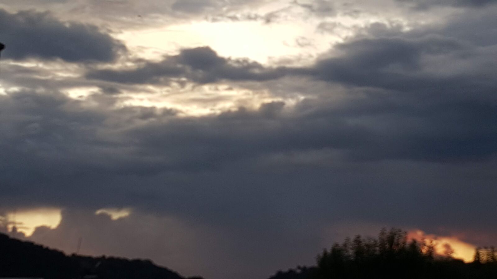 Samsung GALAXY S6 edge sample photo. Vine, afternoon, nature photography