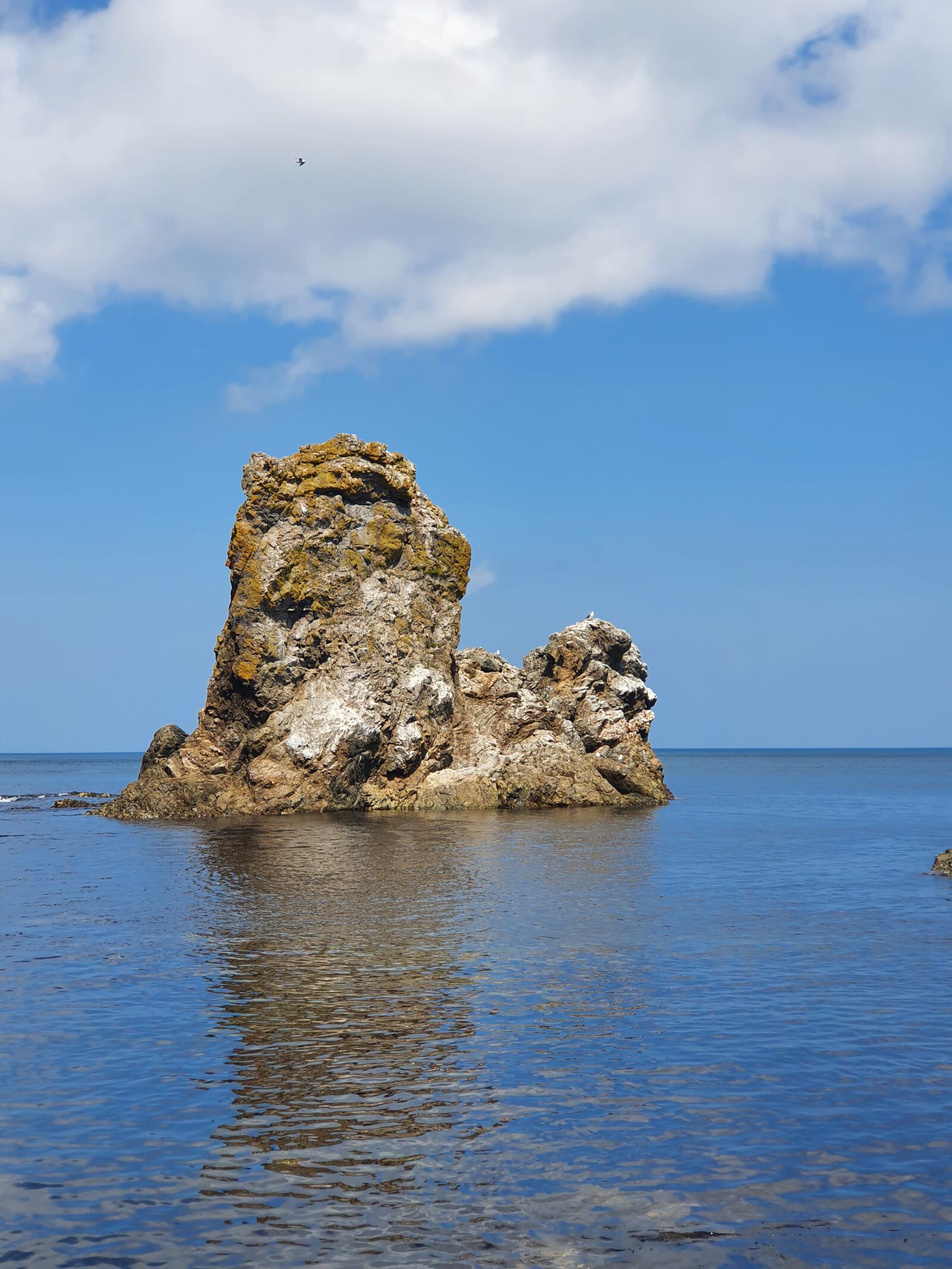 Samsung Galaxy S10 sample photo. Nature, island, sakhalin photography