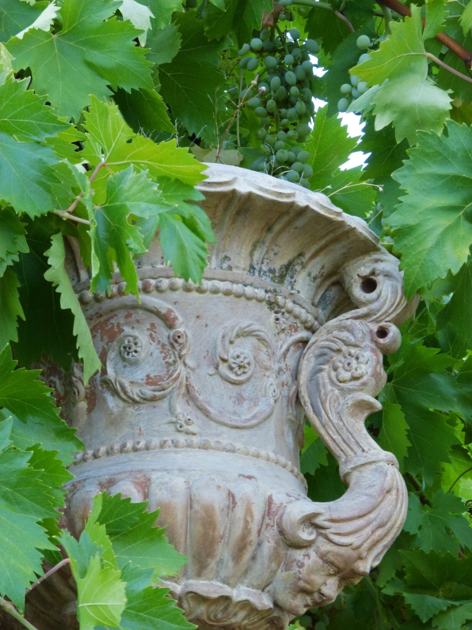 Panasonic DMC-FZ62 sample photo. Vase, terracotta, old photography