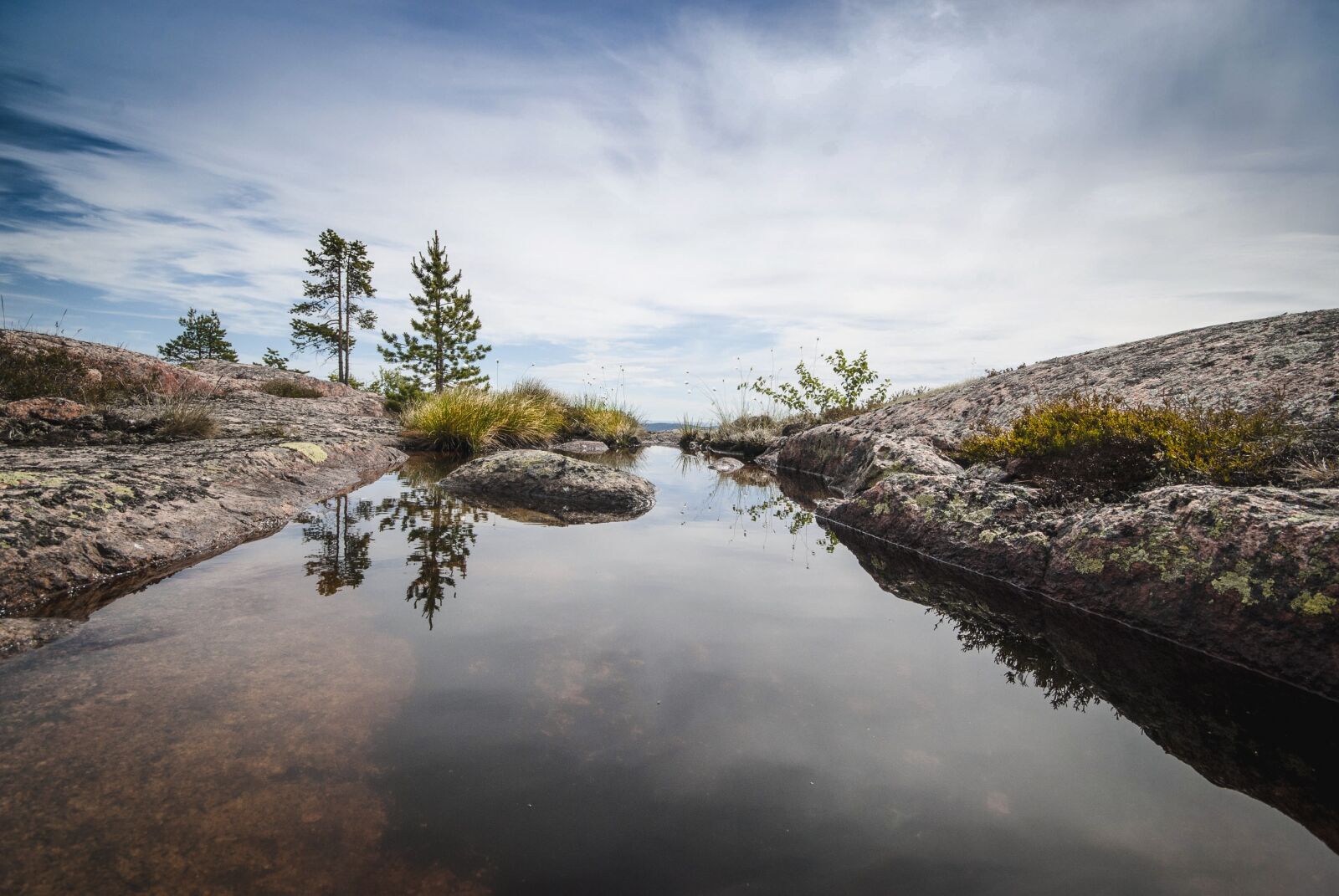 Nikon D60 sample photo. Reflection, water, nature photography