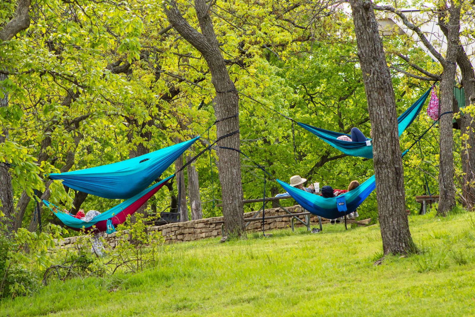 Canon EOS 1300D (EOS Rebel T6 / EOS Kiss X80) + Canon EF75-300mm f/4-5.6 sample photo. Hammock, trees, friends photography