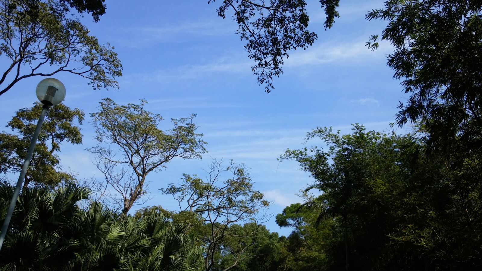 LG G Pro2 sample photo. Nature, trees, sky photography