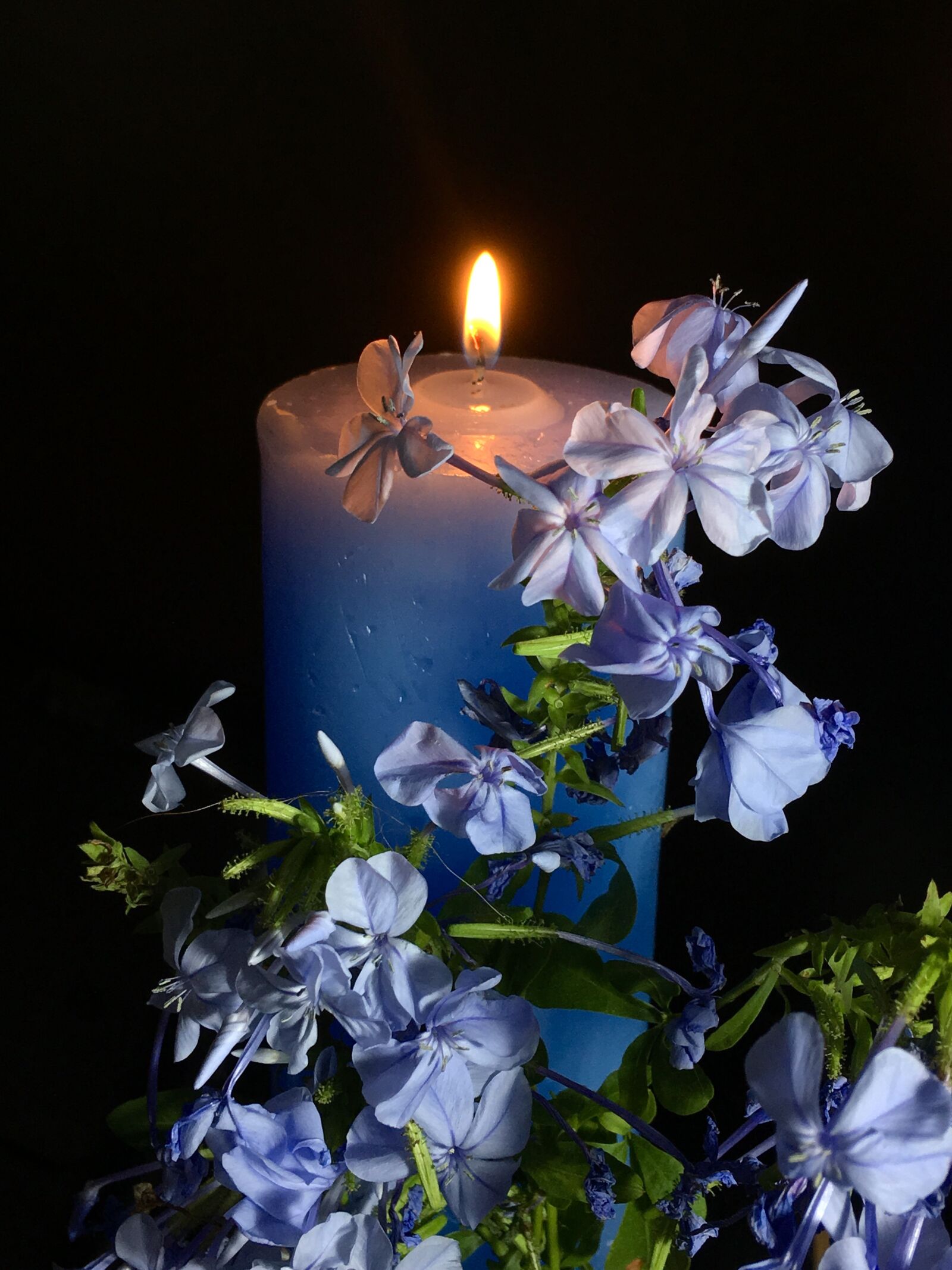 iPhone 6s Plus back camera 4.15mm f/2.2 sample photo. Candle celestial, light, night photography