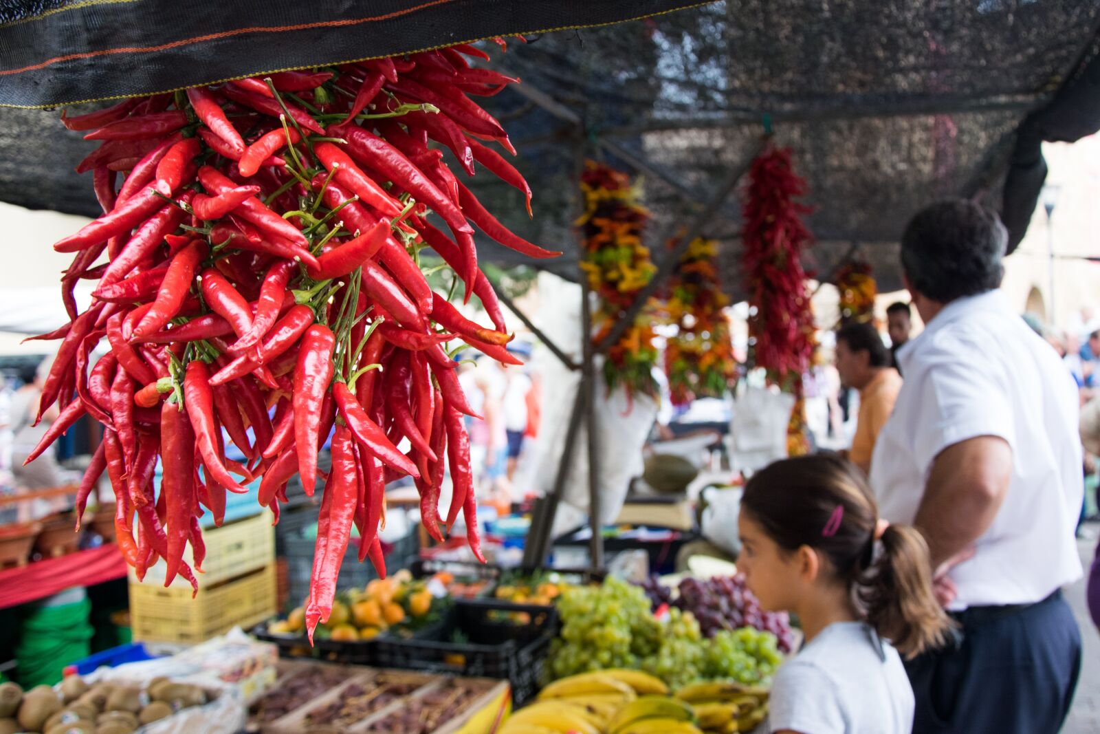 Nikon D3300 sample photo. Chili, market, spain photography