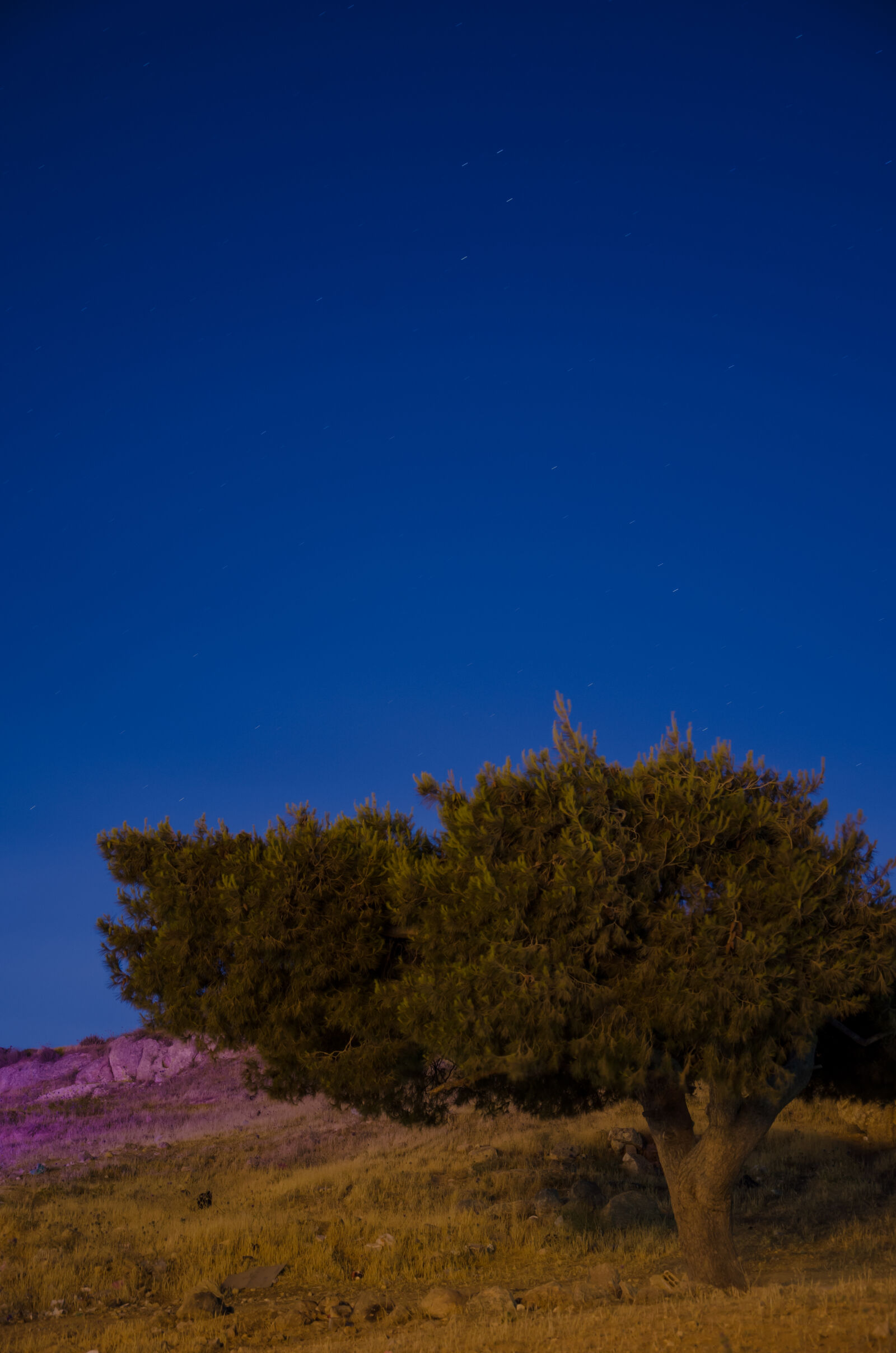 Nikon D5100 sample photo