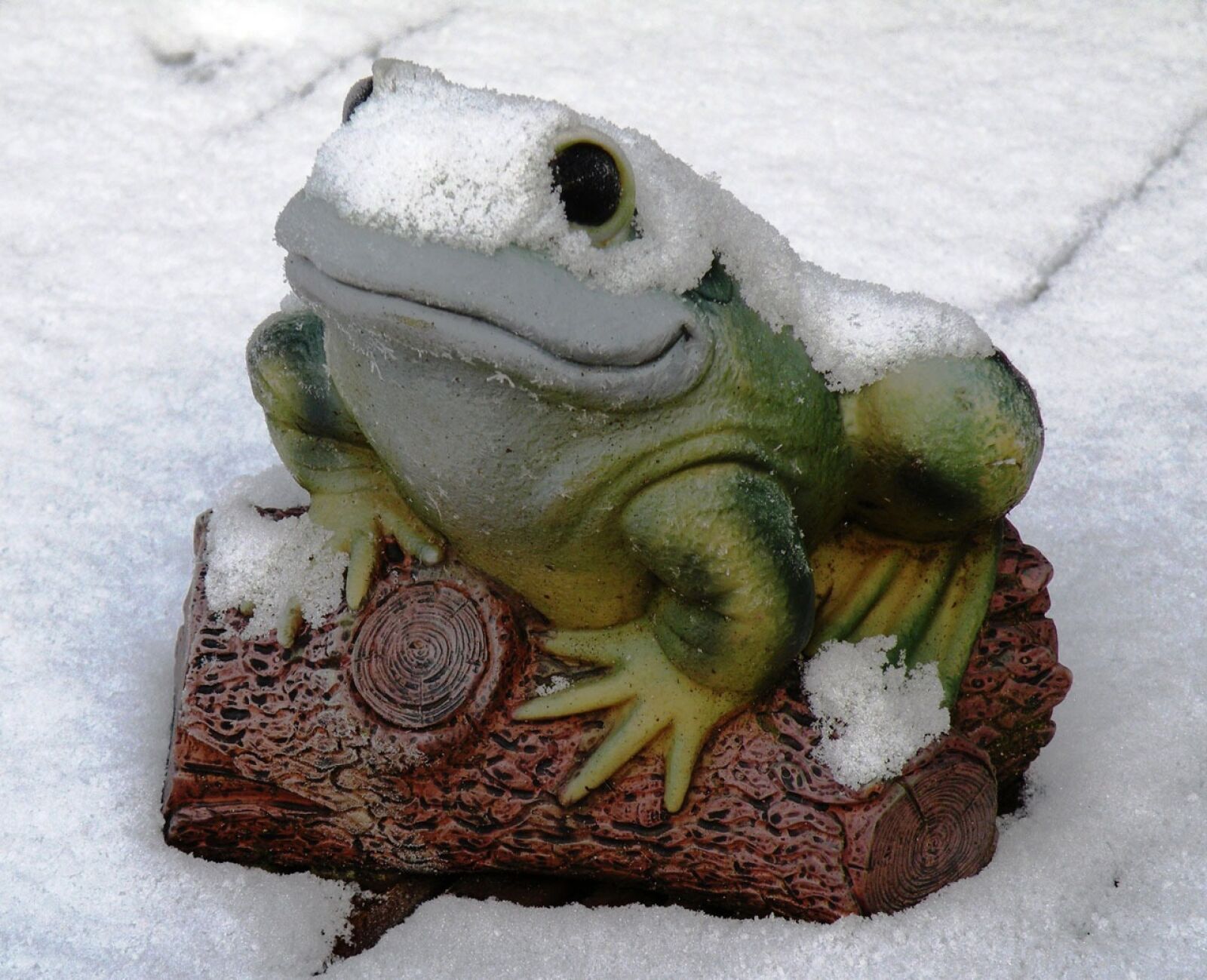 Nikon Coolpix P80 sample photo. Frog, ornament, snow photography