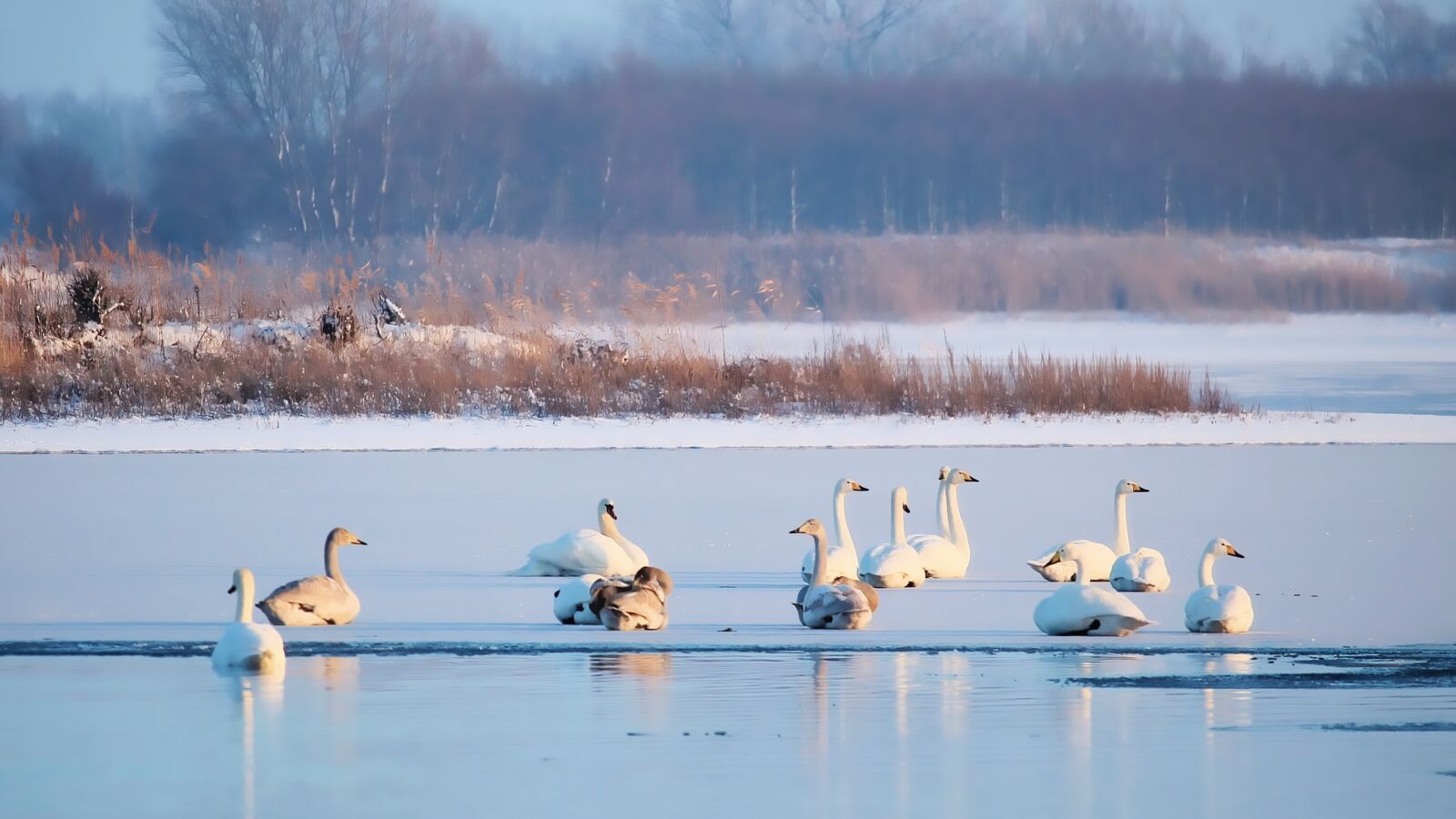 Canon EOS 1100D (EOS Rebel T3 / EOS Kiss X50) sample photo. Lake, waters, frozen photography