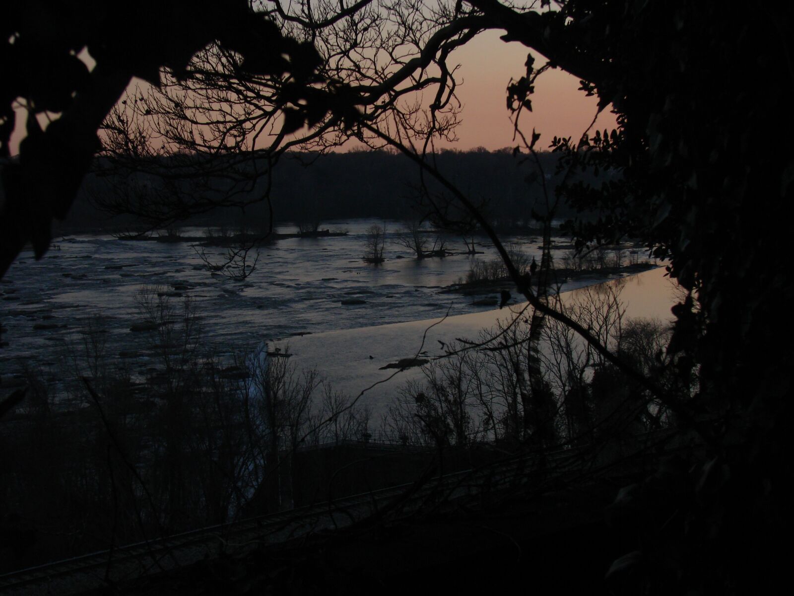 Sony DSC-H5 sample photo. Sunset, water, tree photography