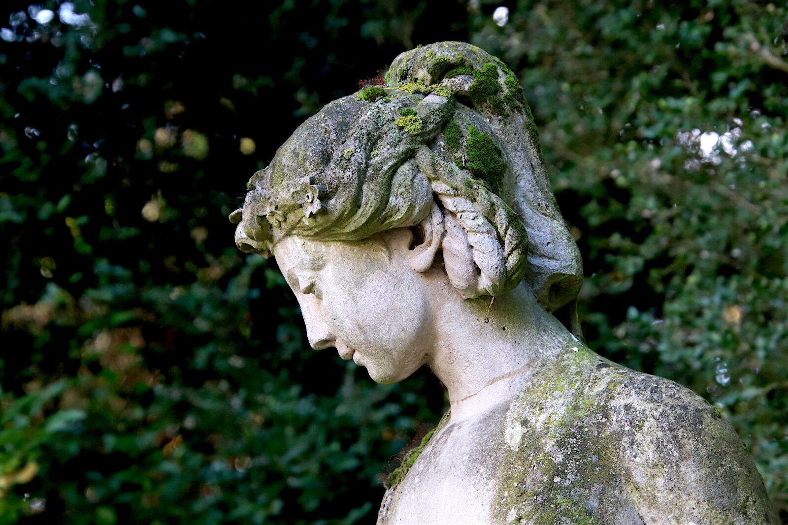 Canon EOS 800D (EOS Rebel T7i / EOS Kiss X9i) sample photo. Sculpture, stone statue, pierre's photography