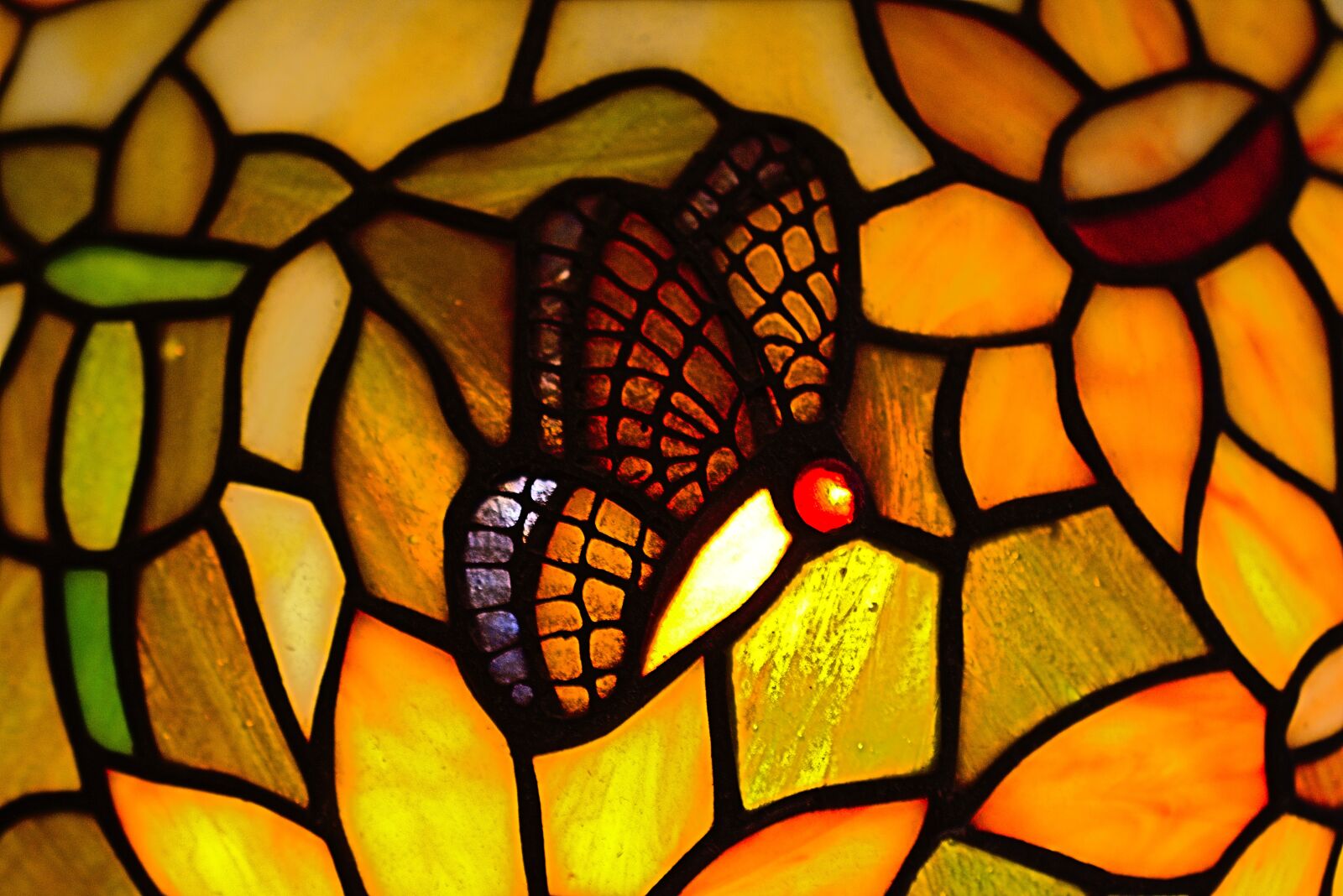 Nikon D5600 sample photo. Butterfly, tiffany, glass photography