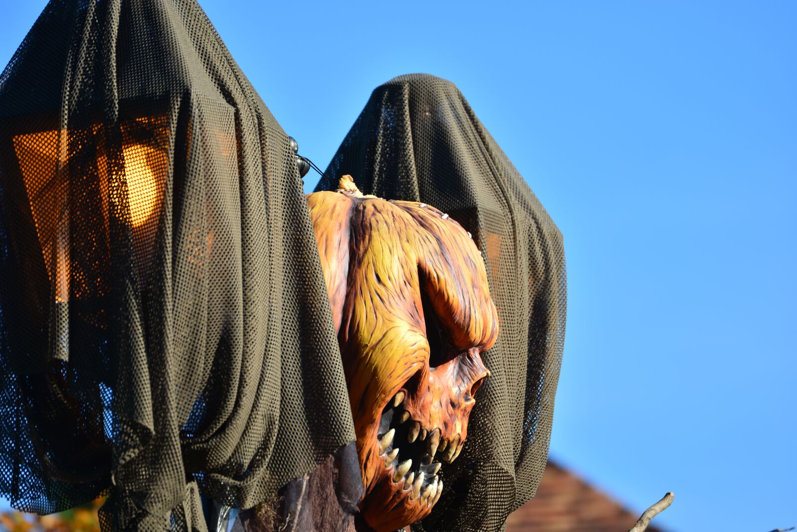 Nikon D610 sample photo. Halloween, pumpkin, look photography