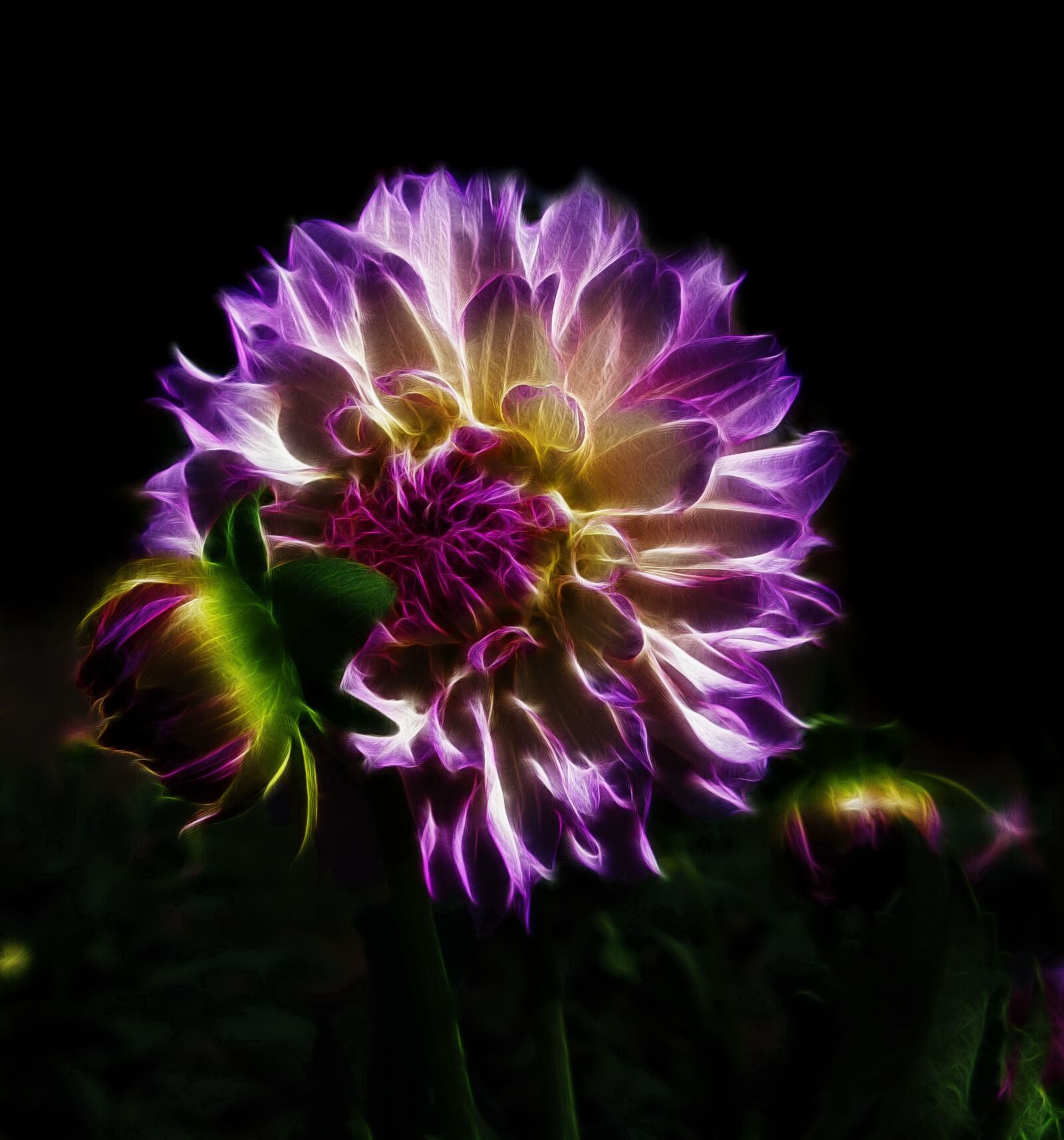 Canon PowerShot G15 sample photo. Dahlia, fractalius, flower photography