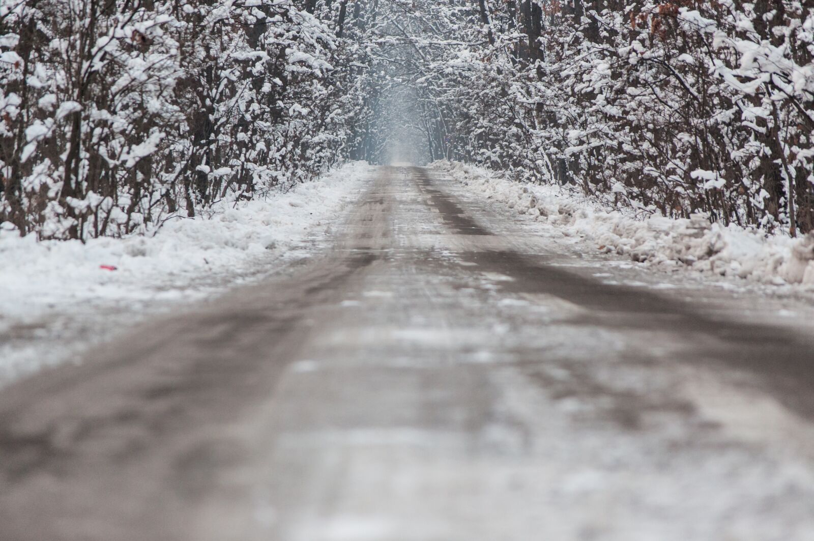 Nikon D5000 sample photo. Winter, asphalt, forest photography