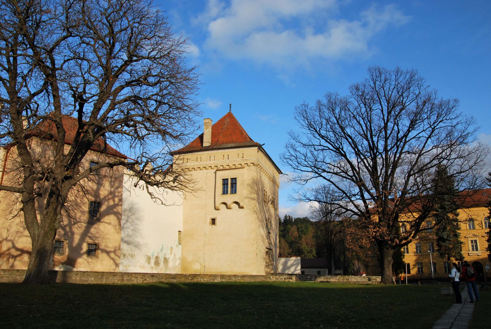 Nikon D60 sample photo. Kezmarok, castle photography