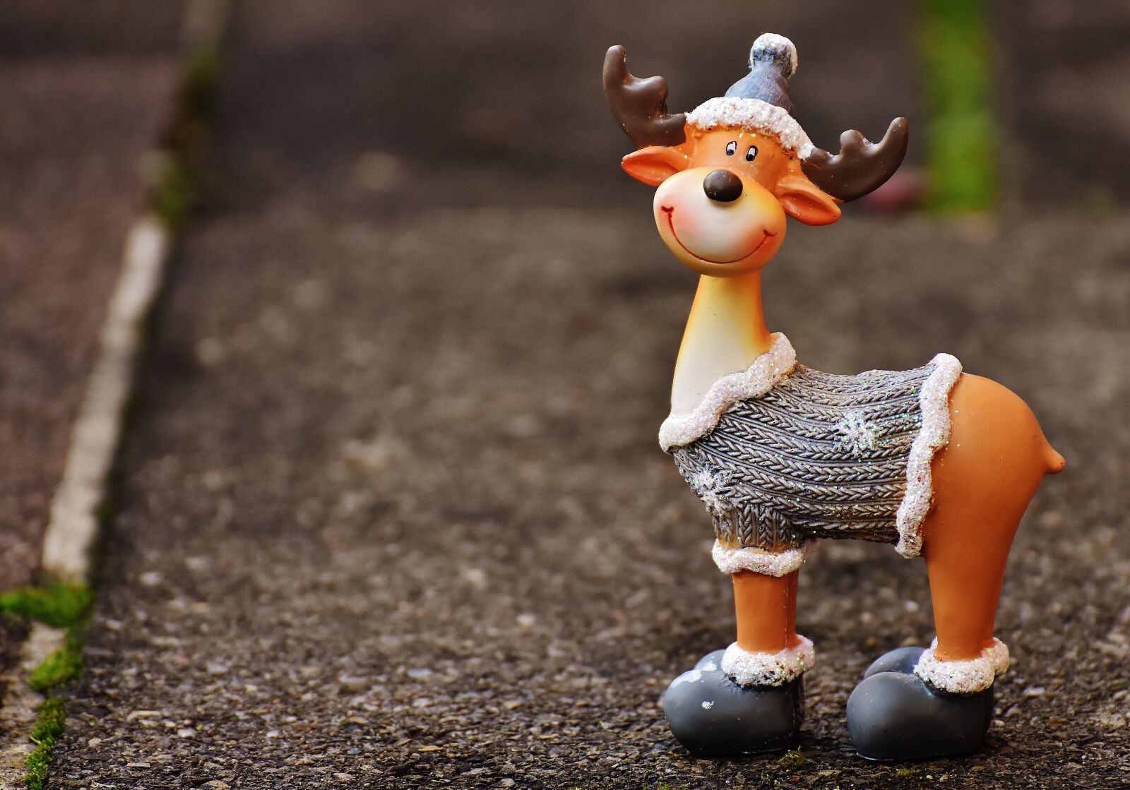 Nikon D7200 sample photo. Moose, christmas, christmas motif photography