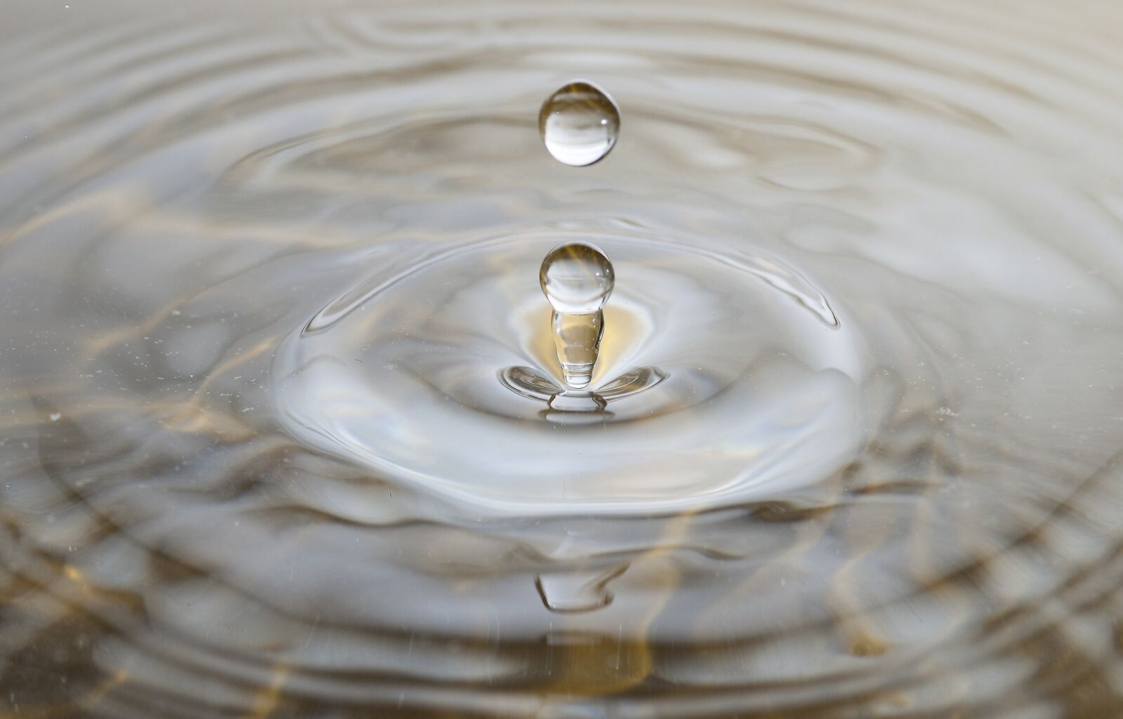 Nikon D80 sample photo. Drops, sketch, macro photography