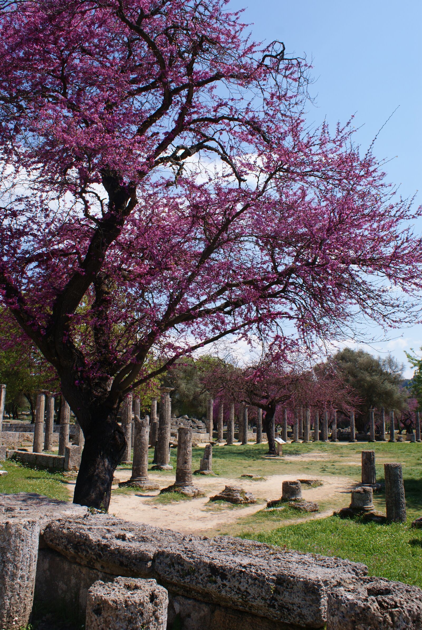 Sony Alpha DSLR-A200 sample photo. Greece, olympia, archeology photography