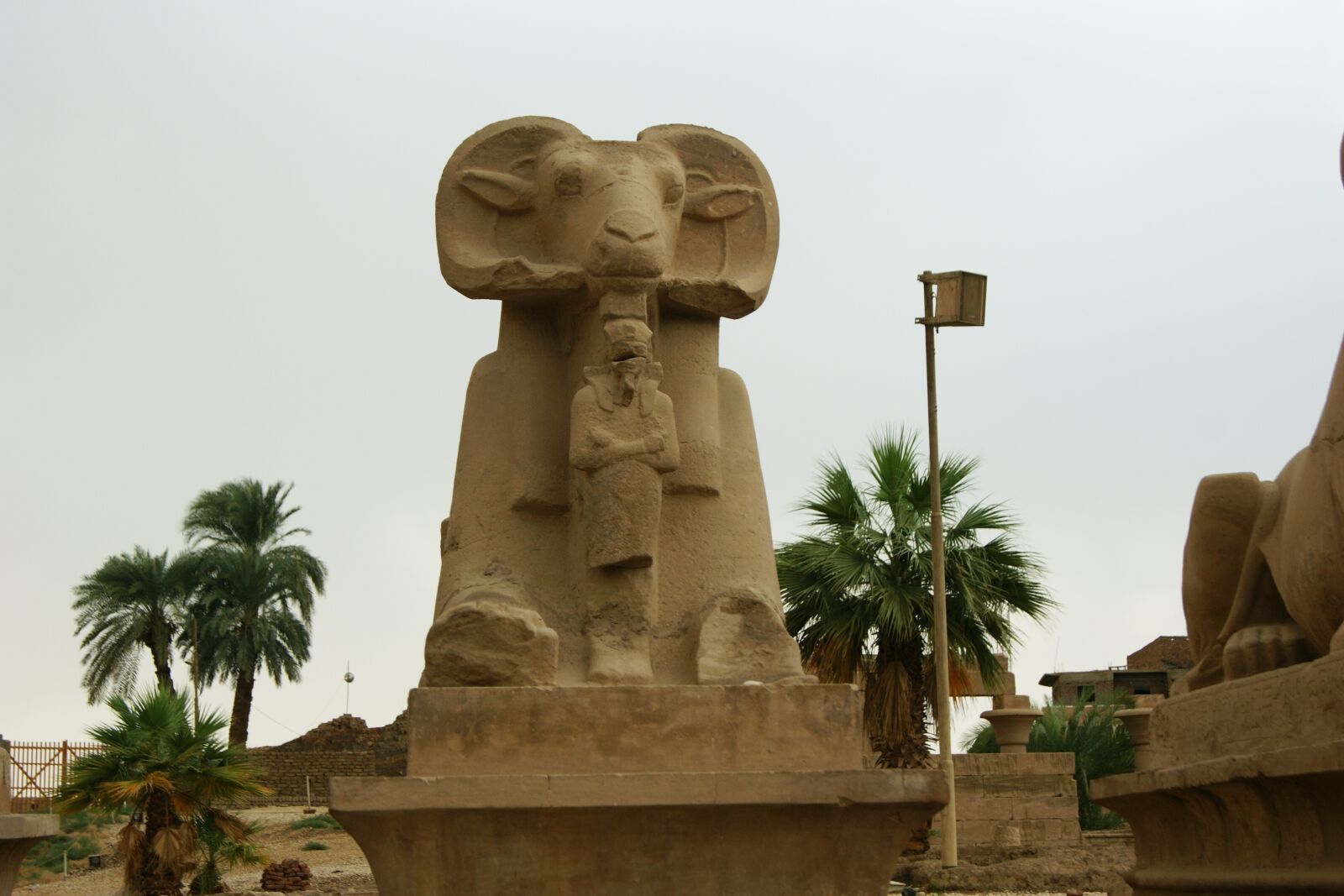 Sony Alpha DSLR-A290 sample photo. Luxor, egypt, karnak photography