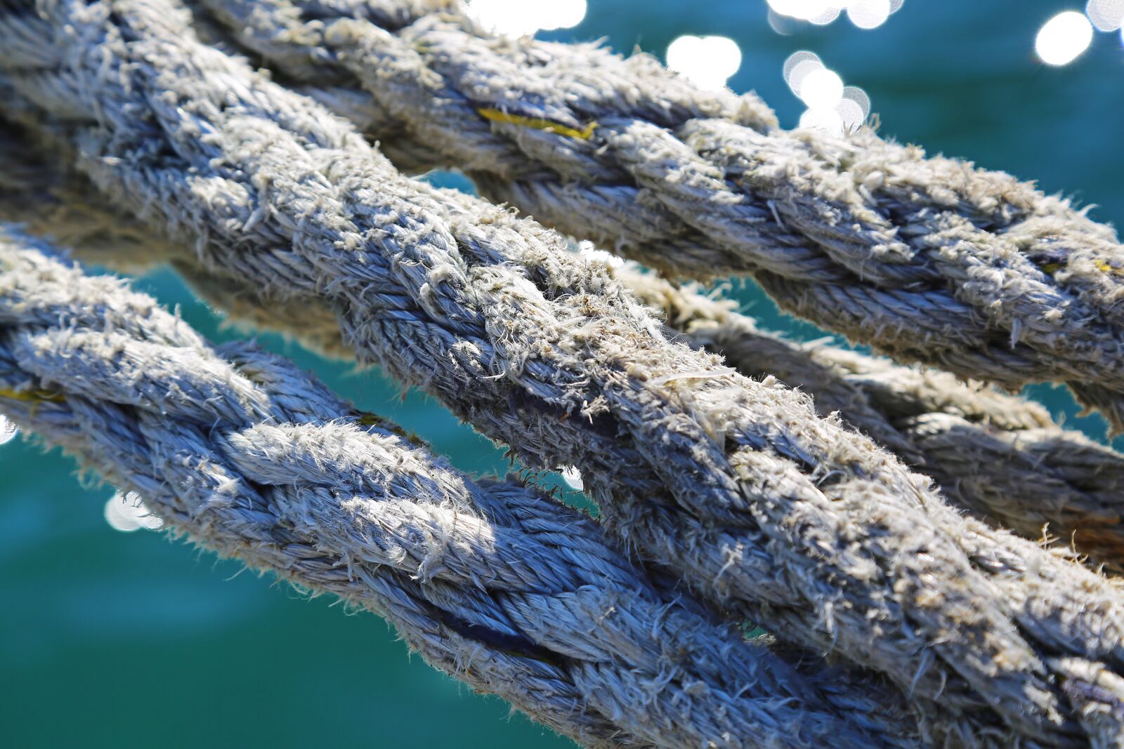 Canon EF 24-105mm F4L IS USM sample photo. Rope, old, macro photography
