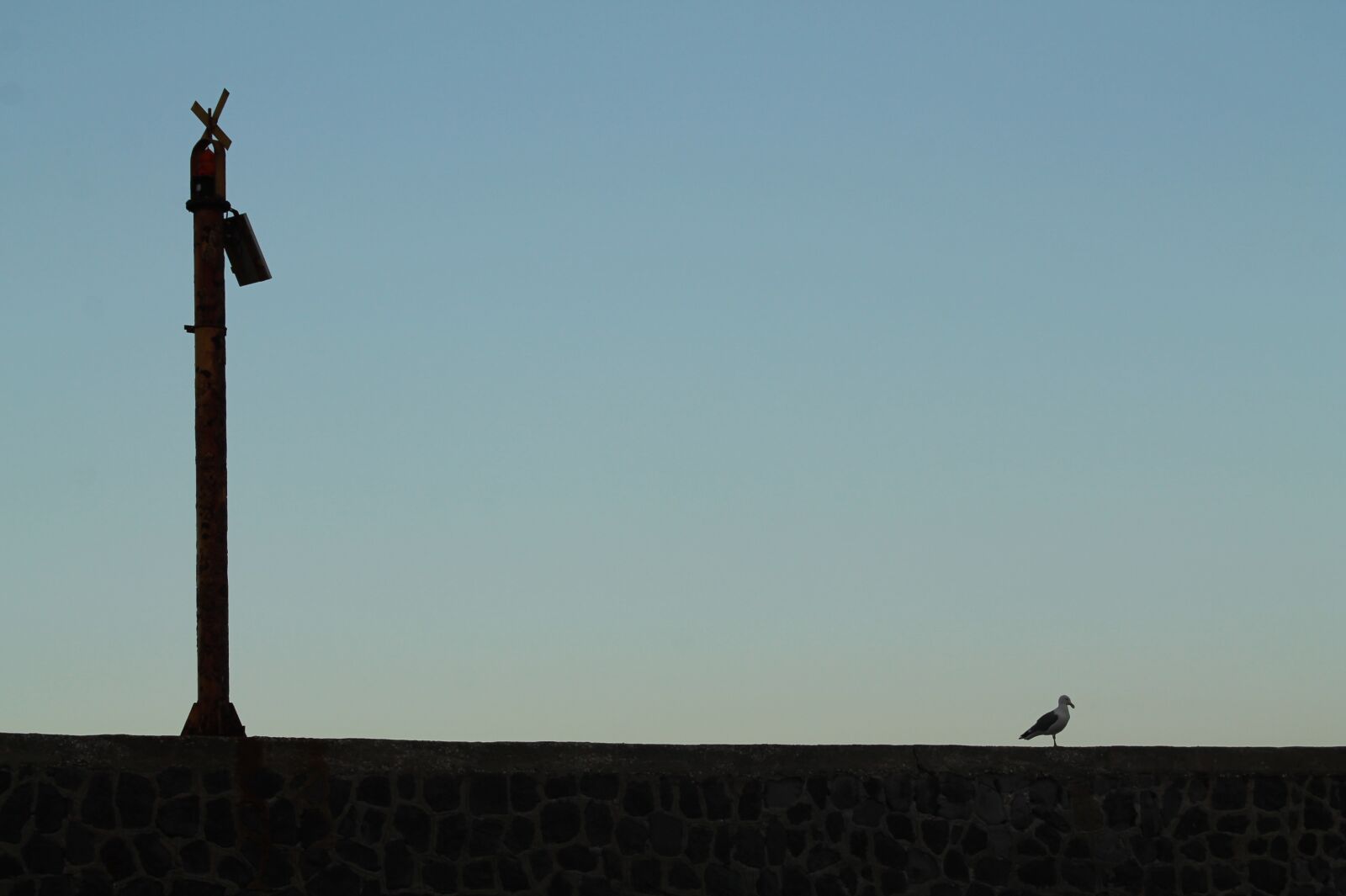 Canon EOS 1100D (EOS Rebel T3 / EOS Kiss X50) sample photo. Sea, seagull, freedom photography