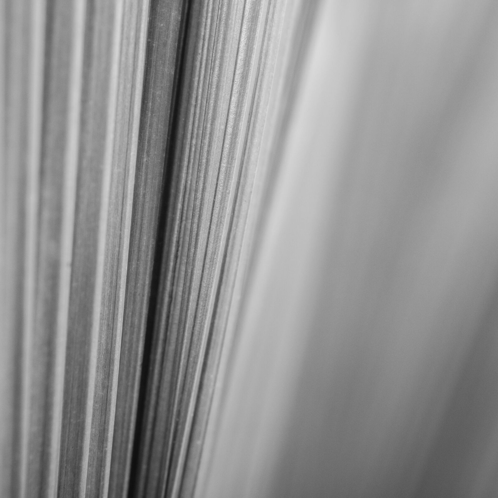 Nikon D7000 + Nikon AF-S Nikkor 50mm F1.8G sample photo. Abstract, abstrato, background, brazilian photography