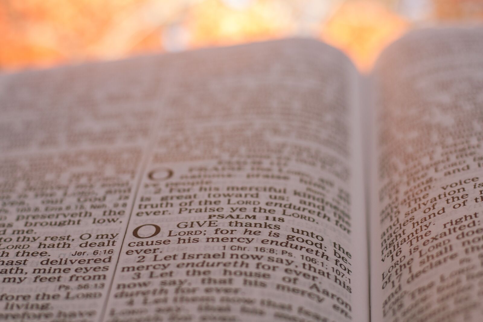Canon EF 50mm F1.8 STM sample photo. Thanksgiving, psalm, 118 photography