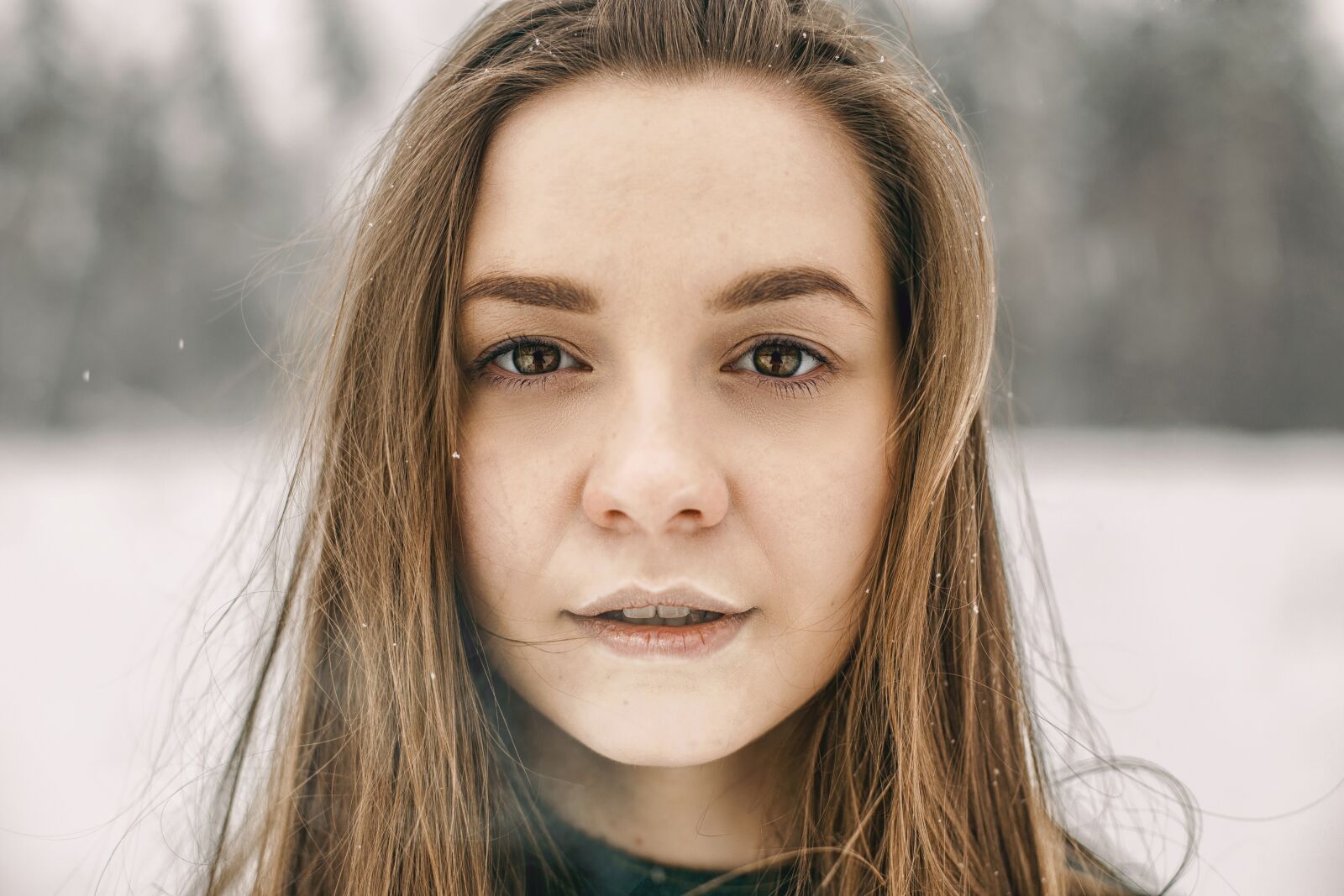 Canon EOS 6D + Canon EF 50mm F1.4 USM sample photo. Snow, winter, tree photography