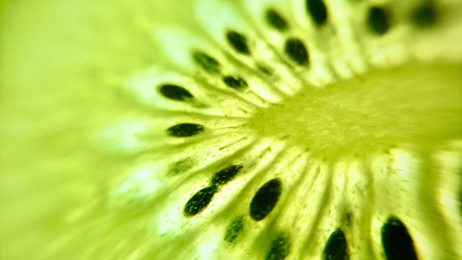 Sony Xperia Z5 Compact sample photo. Kiwi, kiwi fruit, green photography