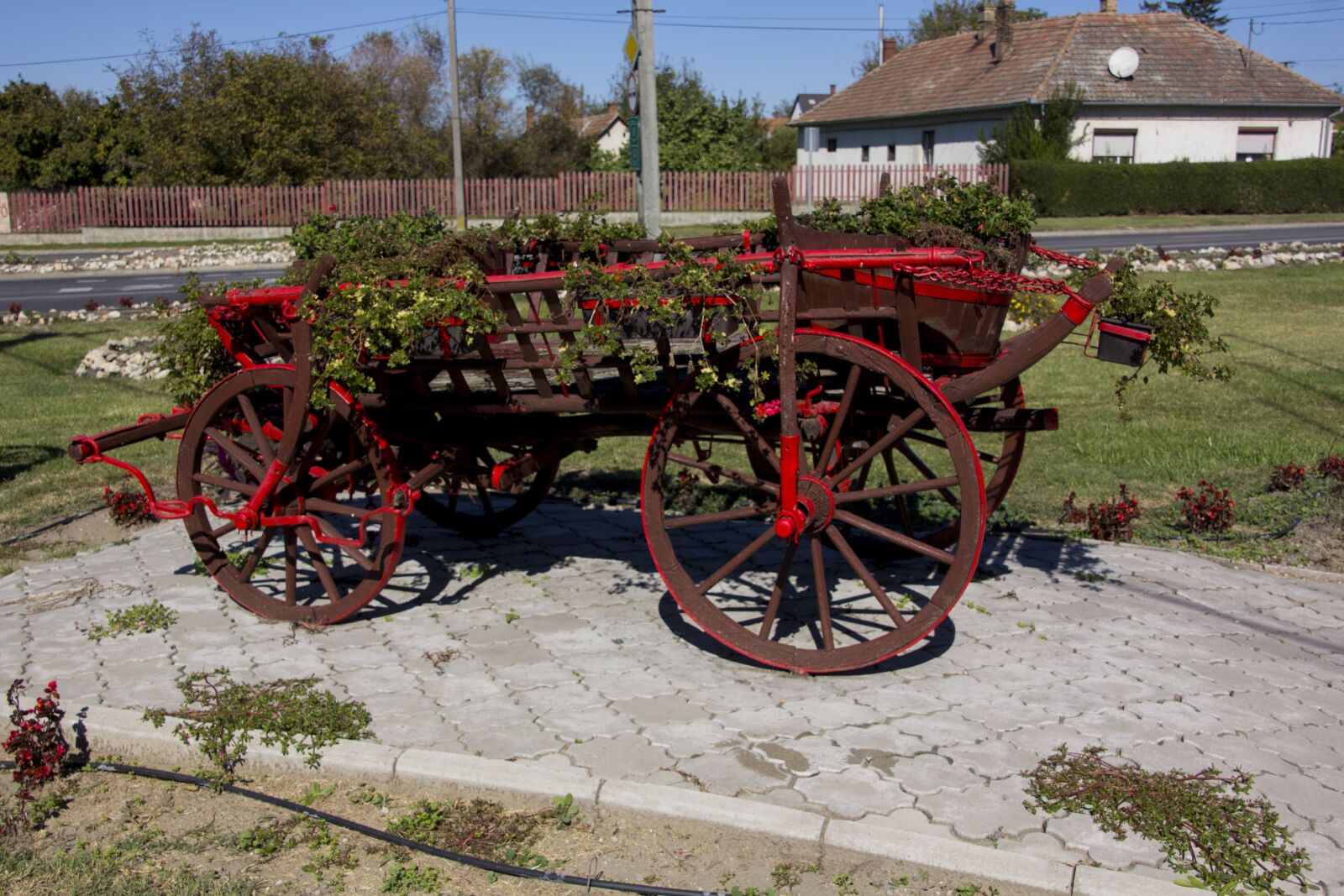 Canon EOS 60D sample photo. Hungary, horse drawn carriage photography