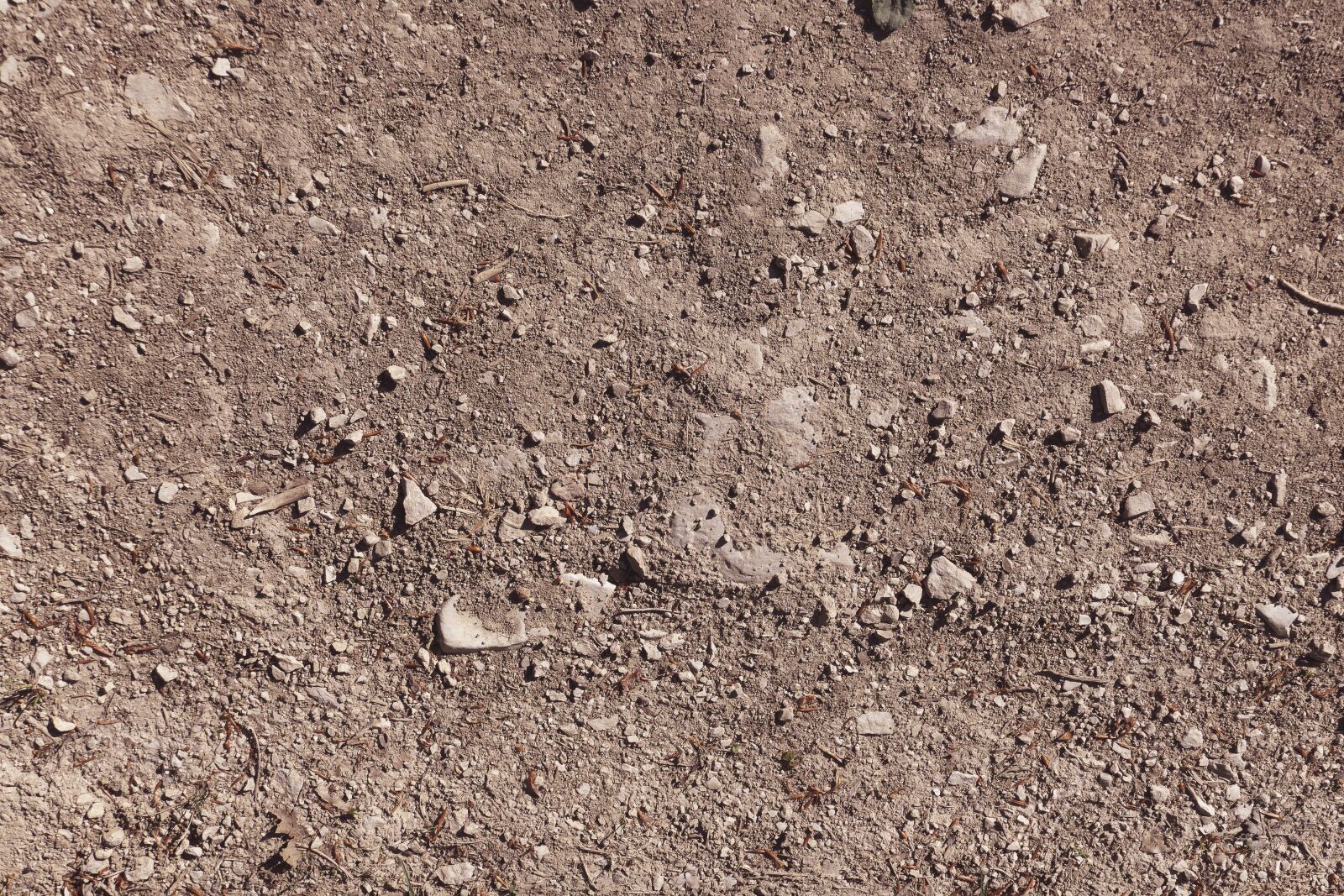 Panasonic Lumix DMC-FZ1000 sample photo. Pebble, stones, gravel photography