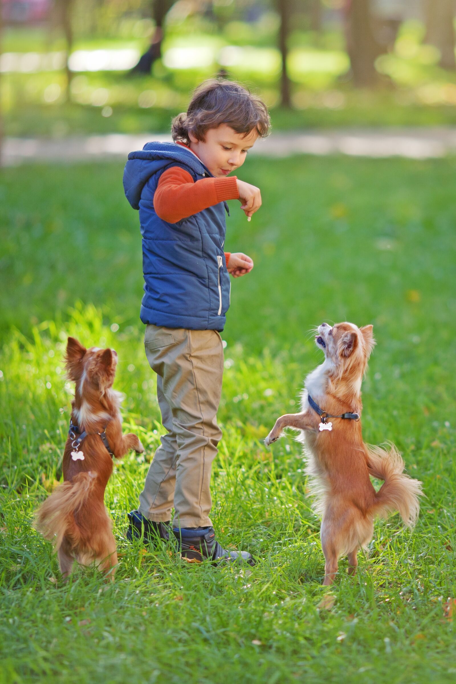 Canon EOS 5D Mark II sample photo. Dogs, dog, pet photography