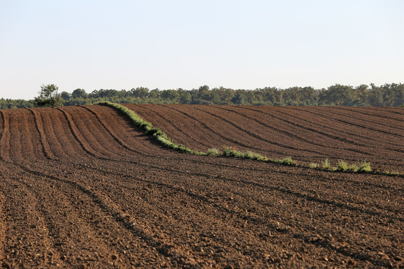 Canon EOS 6D sample photo. Earth, soil, farming photography