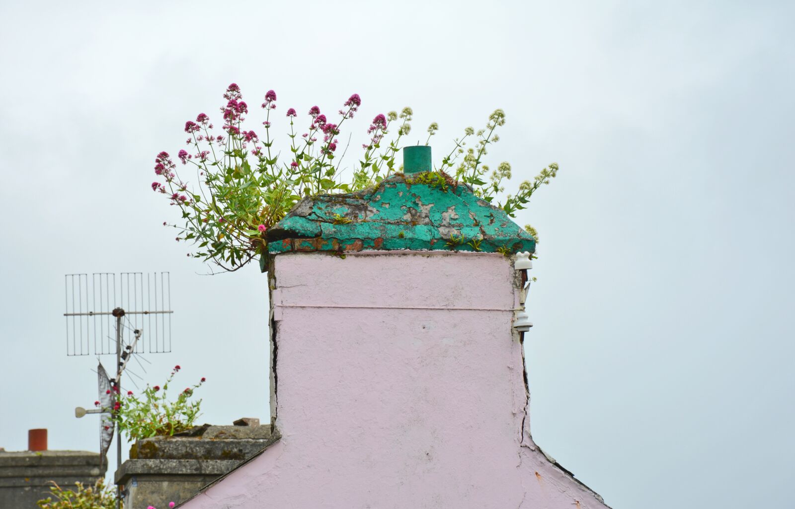Nikon D5200 sample photo. Ireland, chimney, fireplace photography