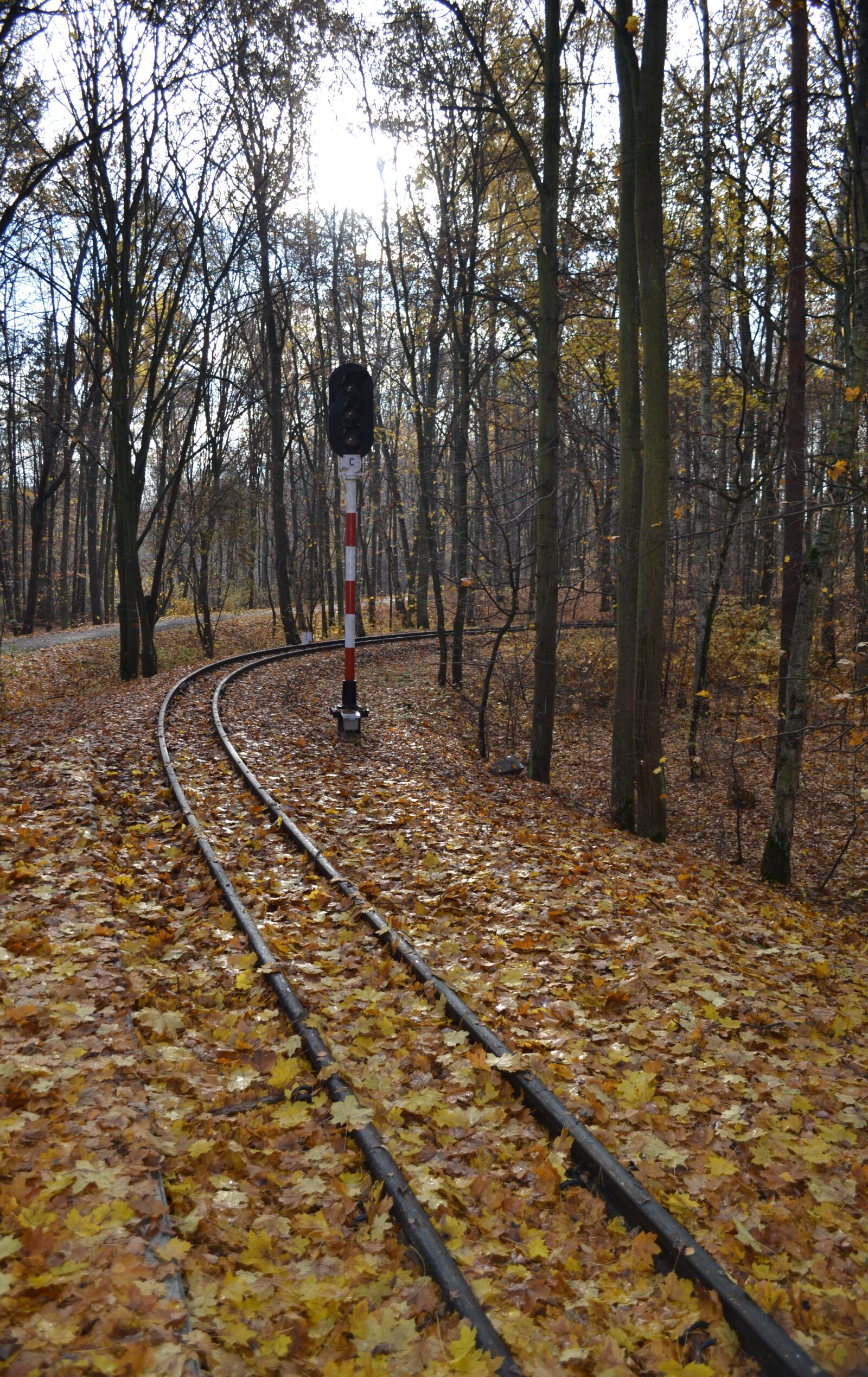 Nikon D3100 sample photo. Semaphore, narrow-gauge track, railway photography